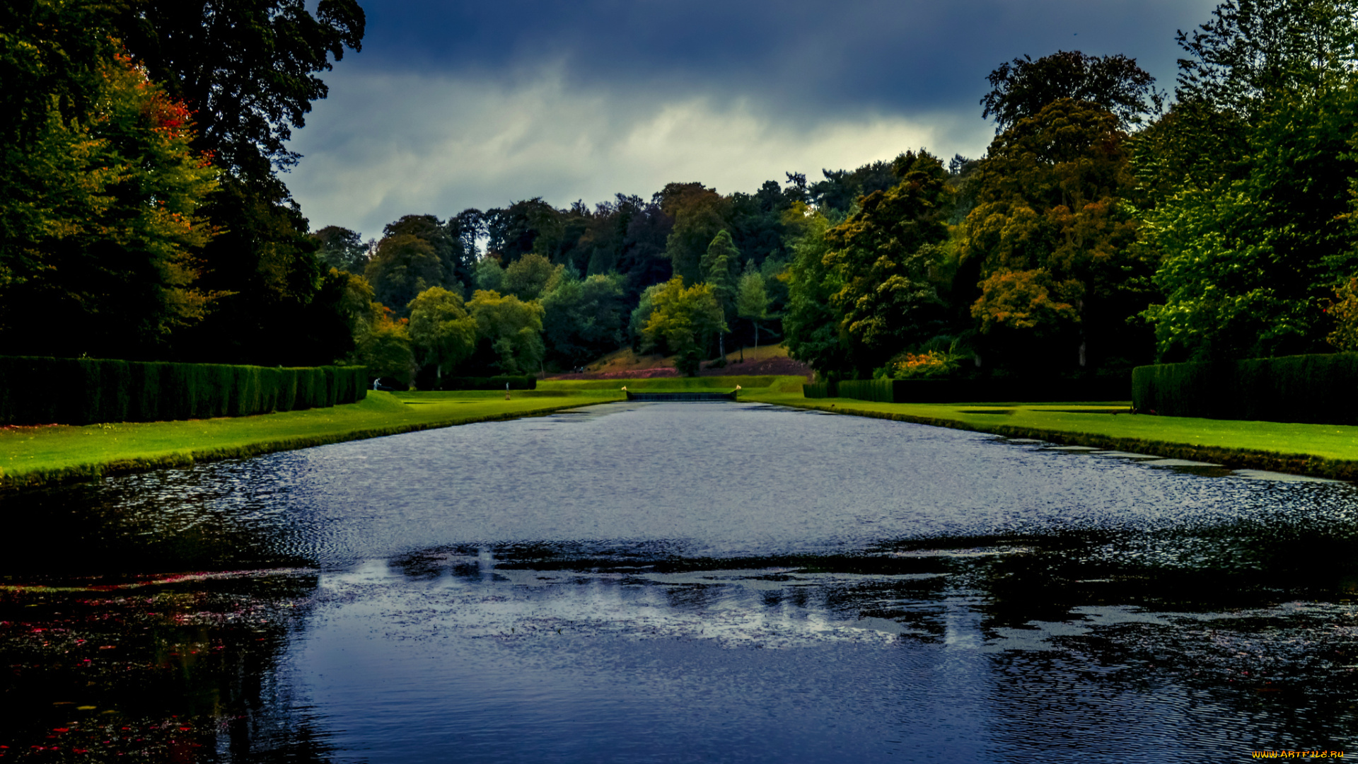 природа, парк, озеро, деревья