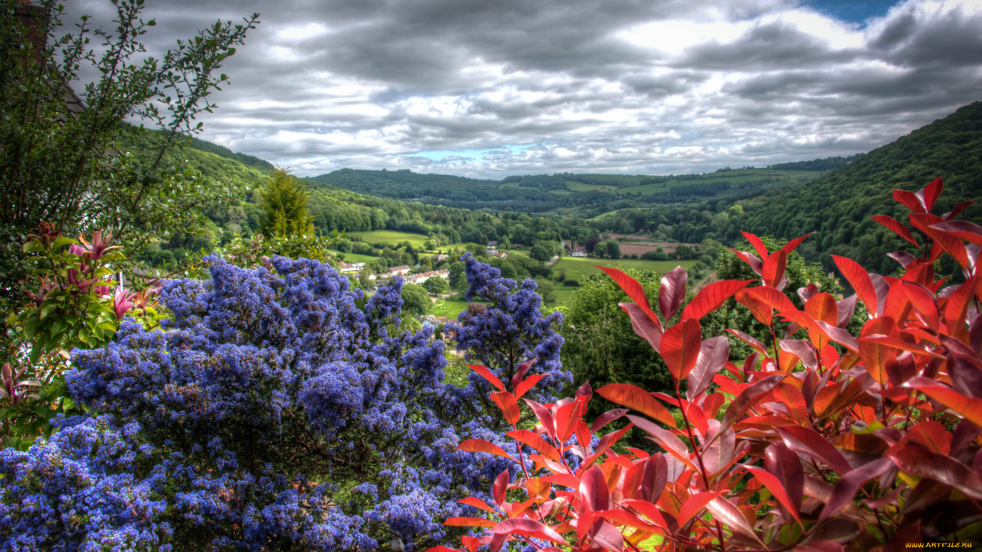 природа, пейзажи, долина, растительность, тучи