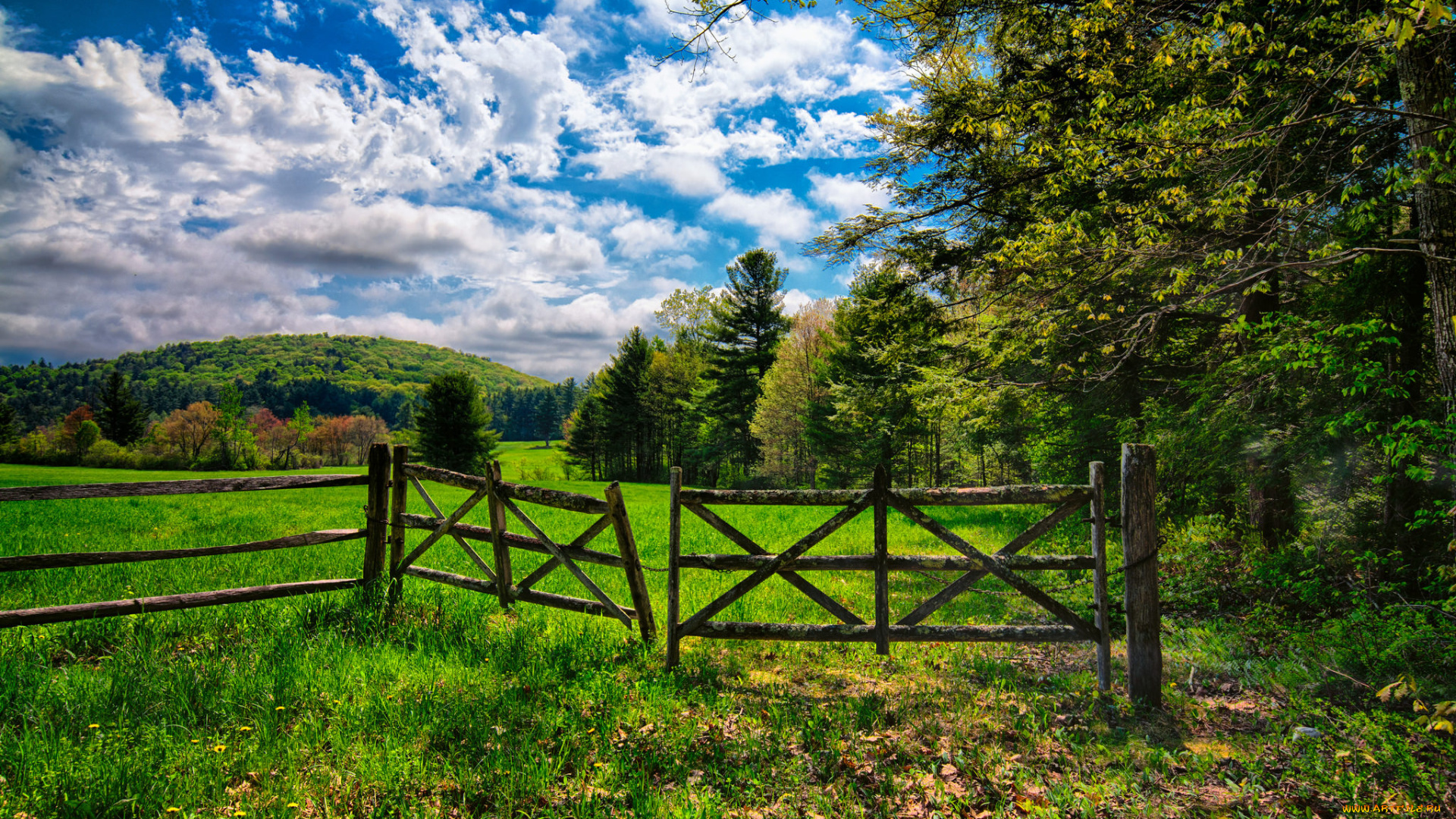 природа, пейзажи, изгородь, холмы, поле, лес