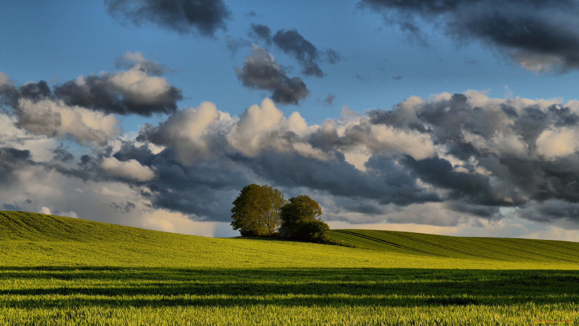 природа, поля, небо, весна, деревья, поле, облака