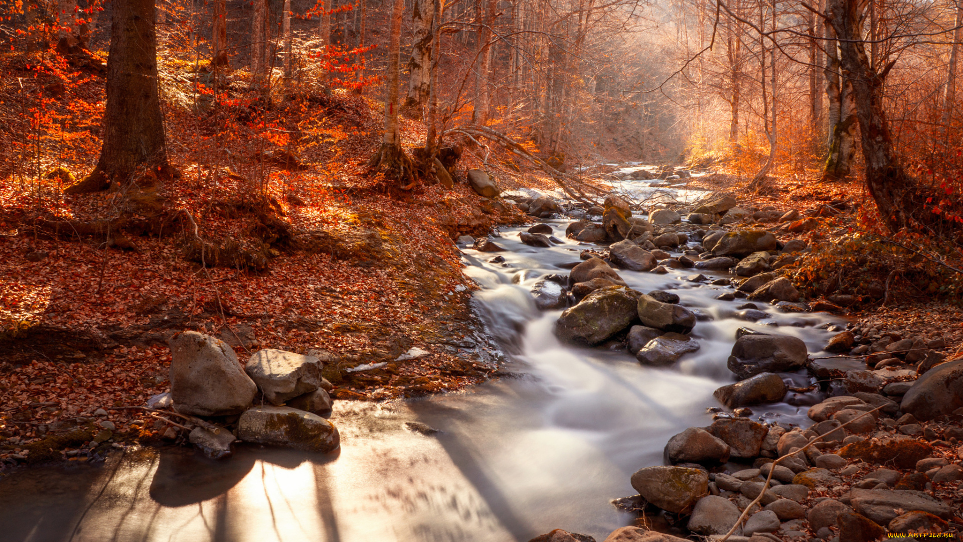 природа, реки, озера, деревья, осень, река