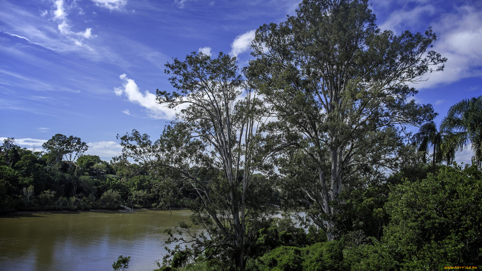 природа, реки, озера, деревья, река, небо