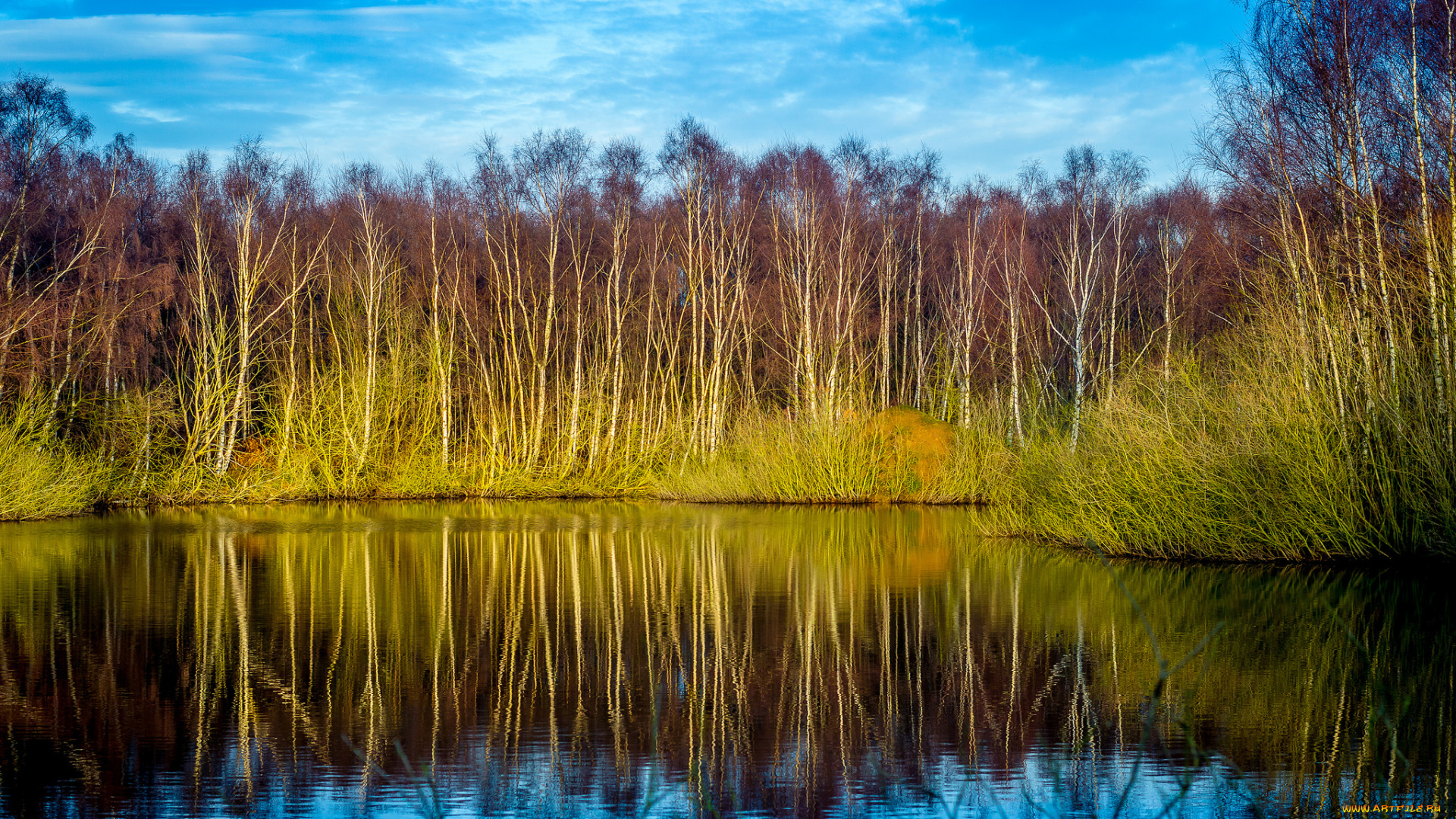 природа, реки, озера, камыш, небо, река, отражение