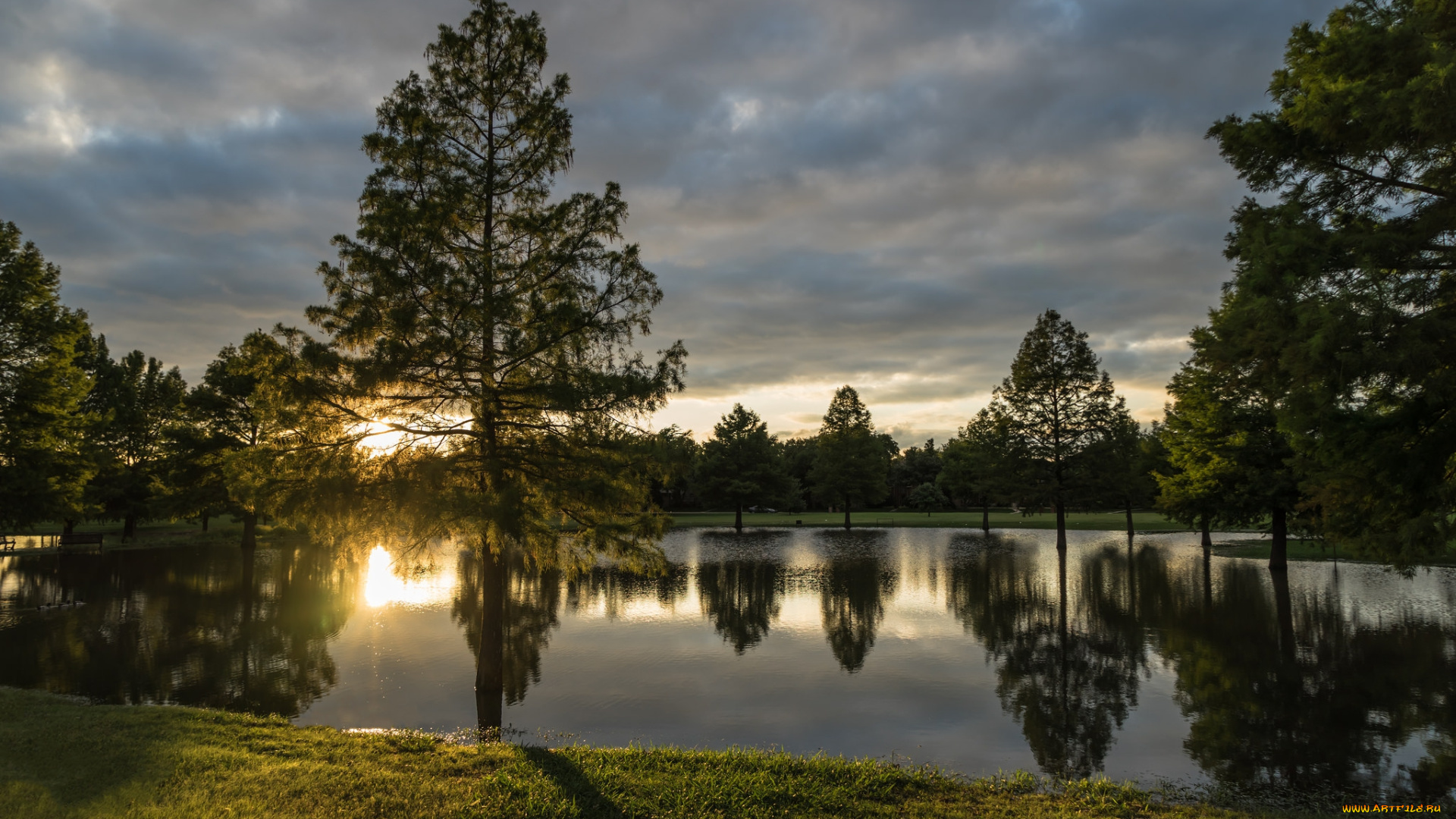 природа, реки, озера, лес, река