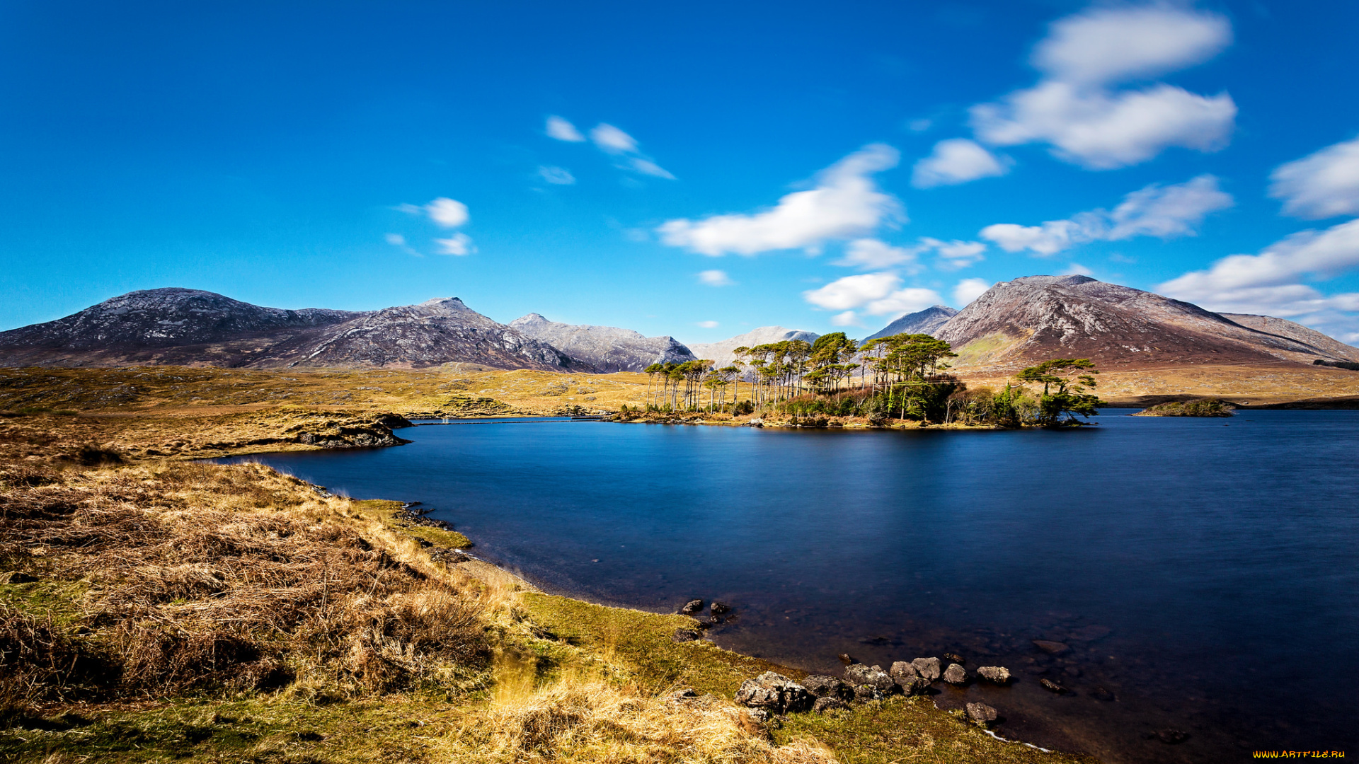 природа, реки, озера, лес, река, горы