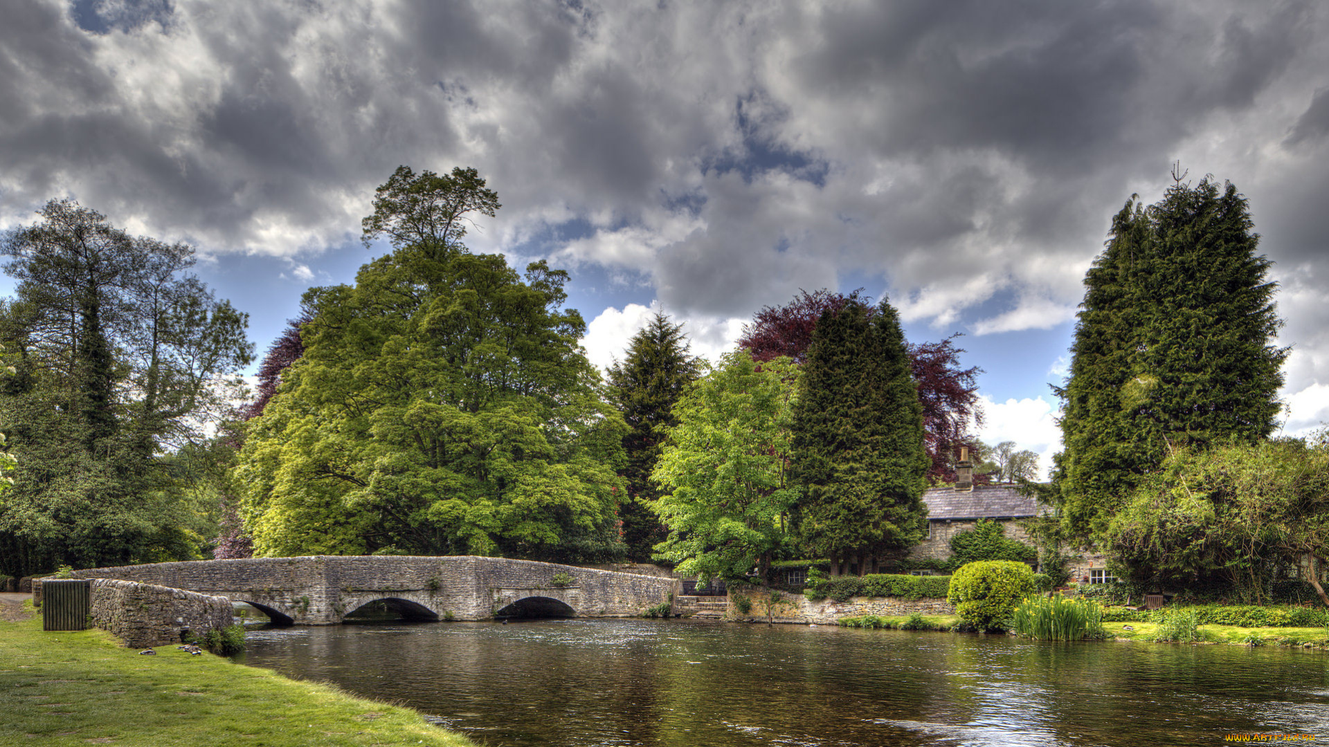 природа, реки, озера, мост, река, лес