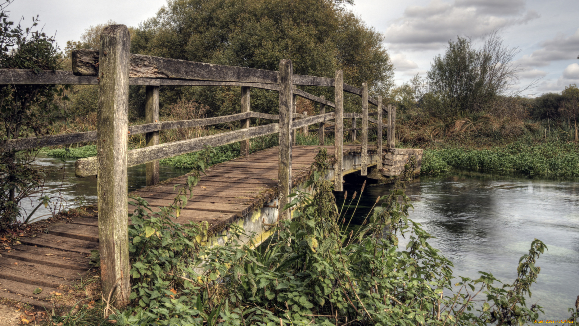 природа, реки, озера, мостик, река, лес