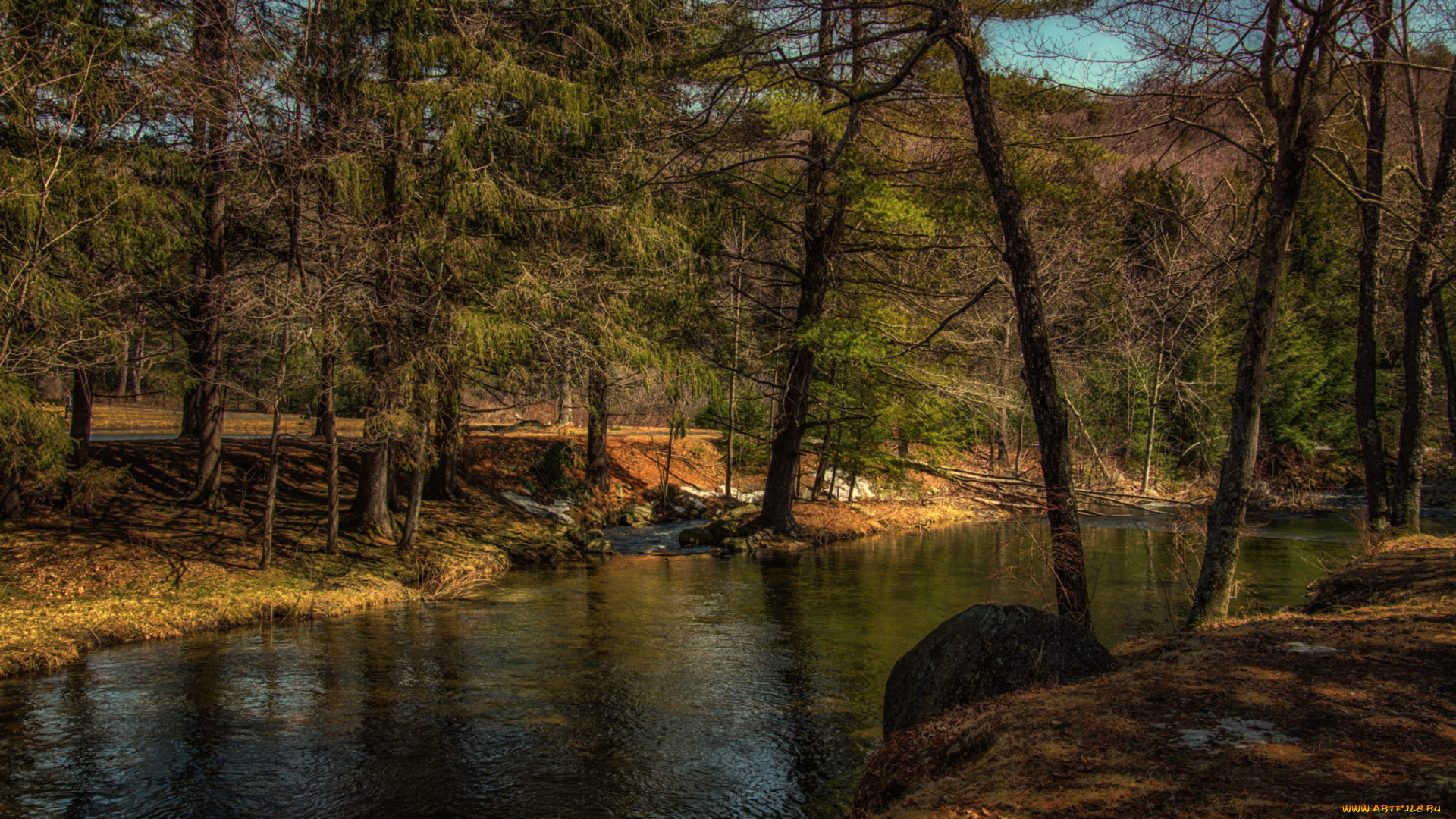 природа, реки, озера, река, лес