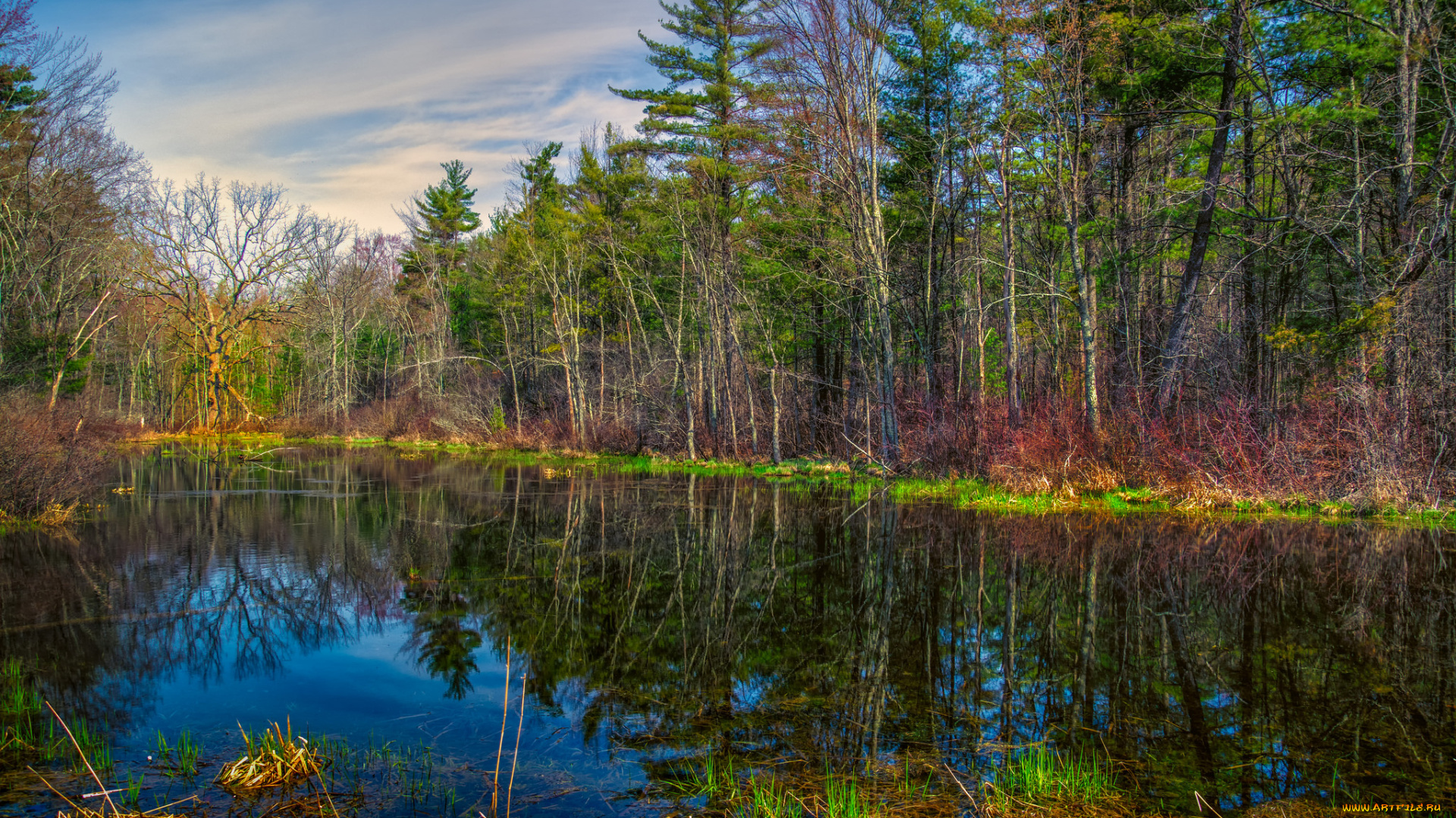 природа, реки, озера, река, лес