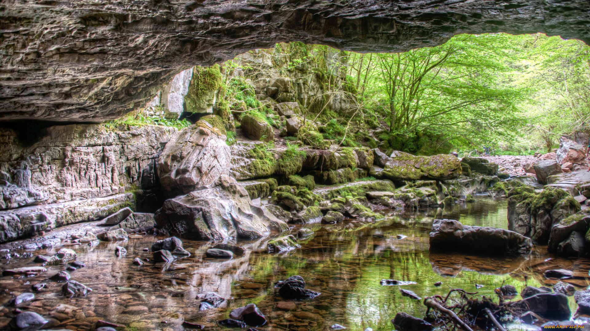 природа, реки, озера, река, лес