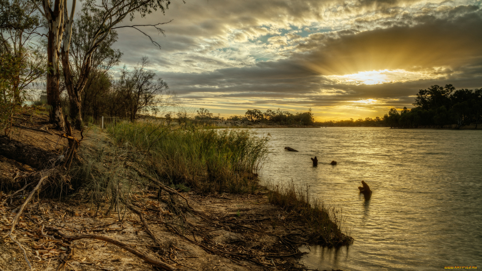 природа, реки, озера, река, лес