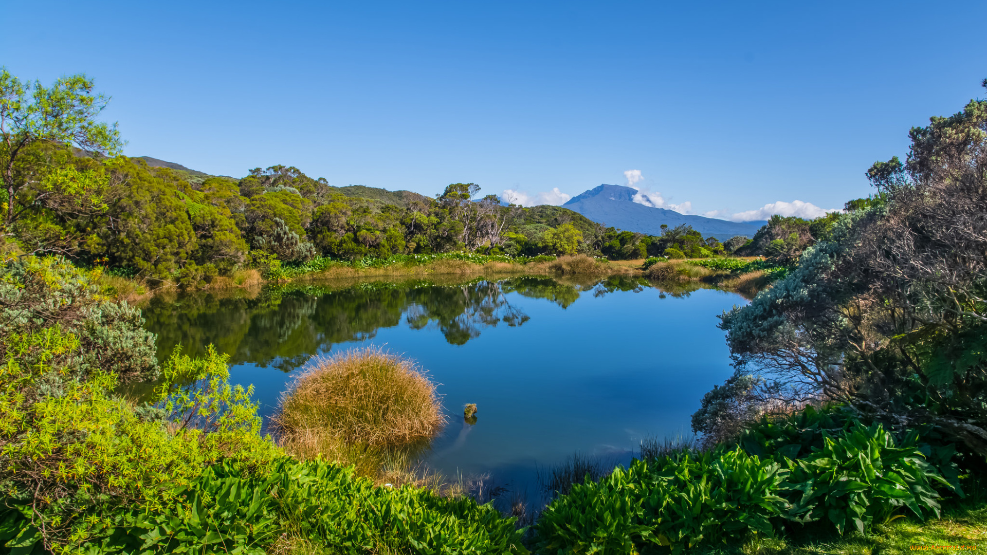 природа, реки, озера, река, лес, горы