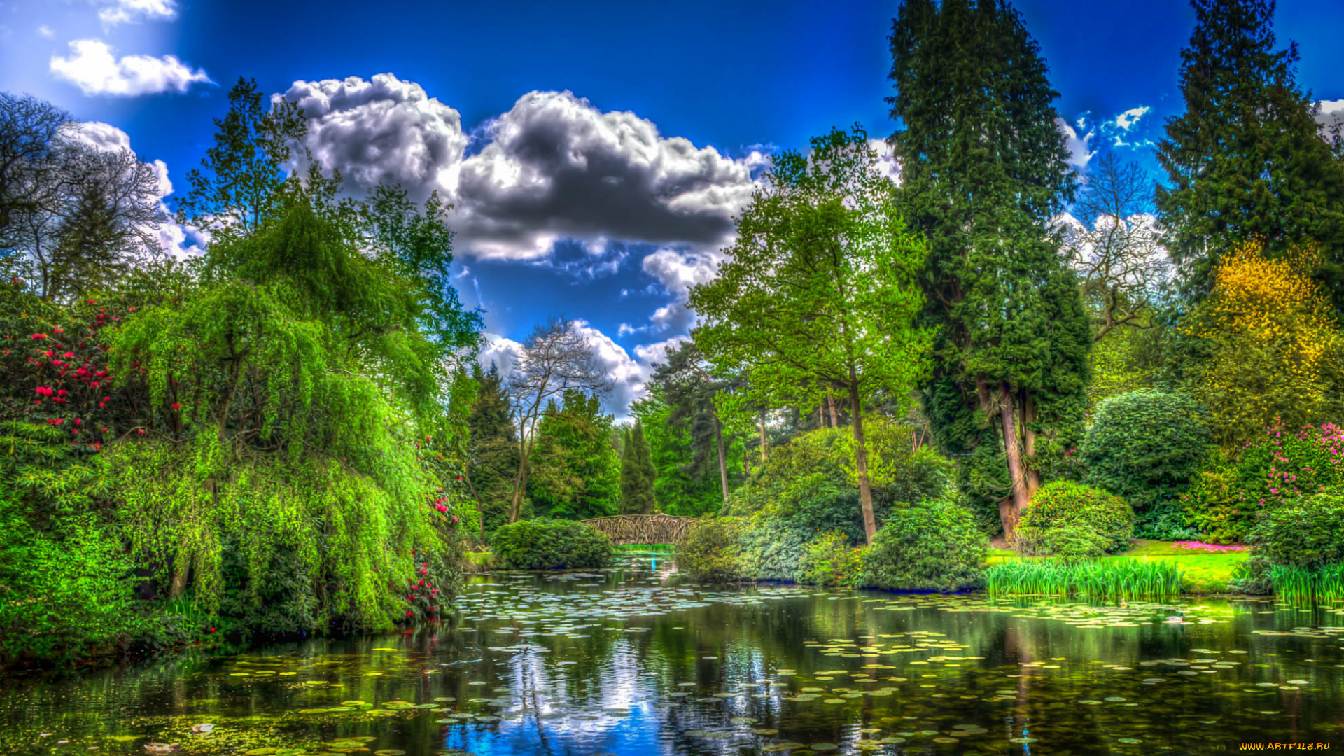 природа, реки, озера, река, вода, деревья, зелень, облака, небо, hdr