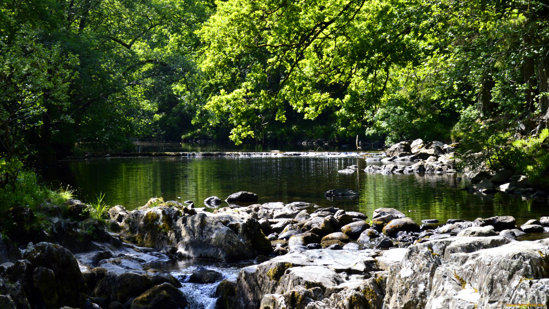 природа, реки, озера, вода, деревья, река