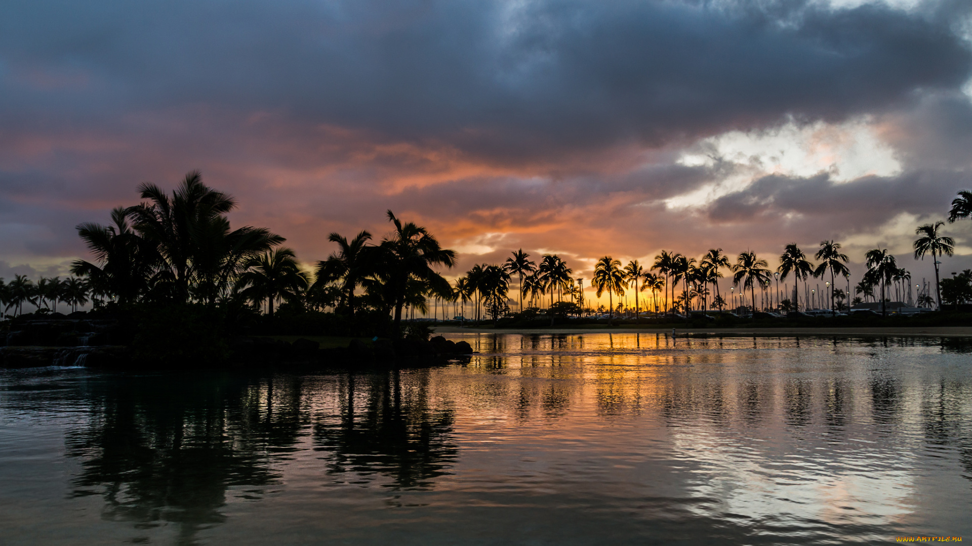 природа, тропики, пальмы, сумерки