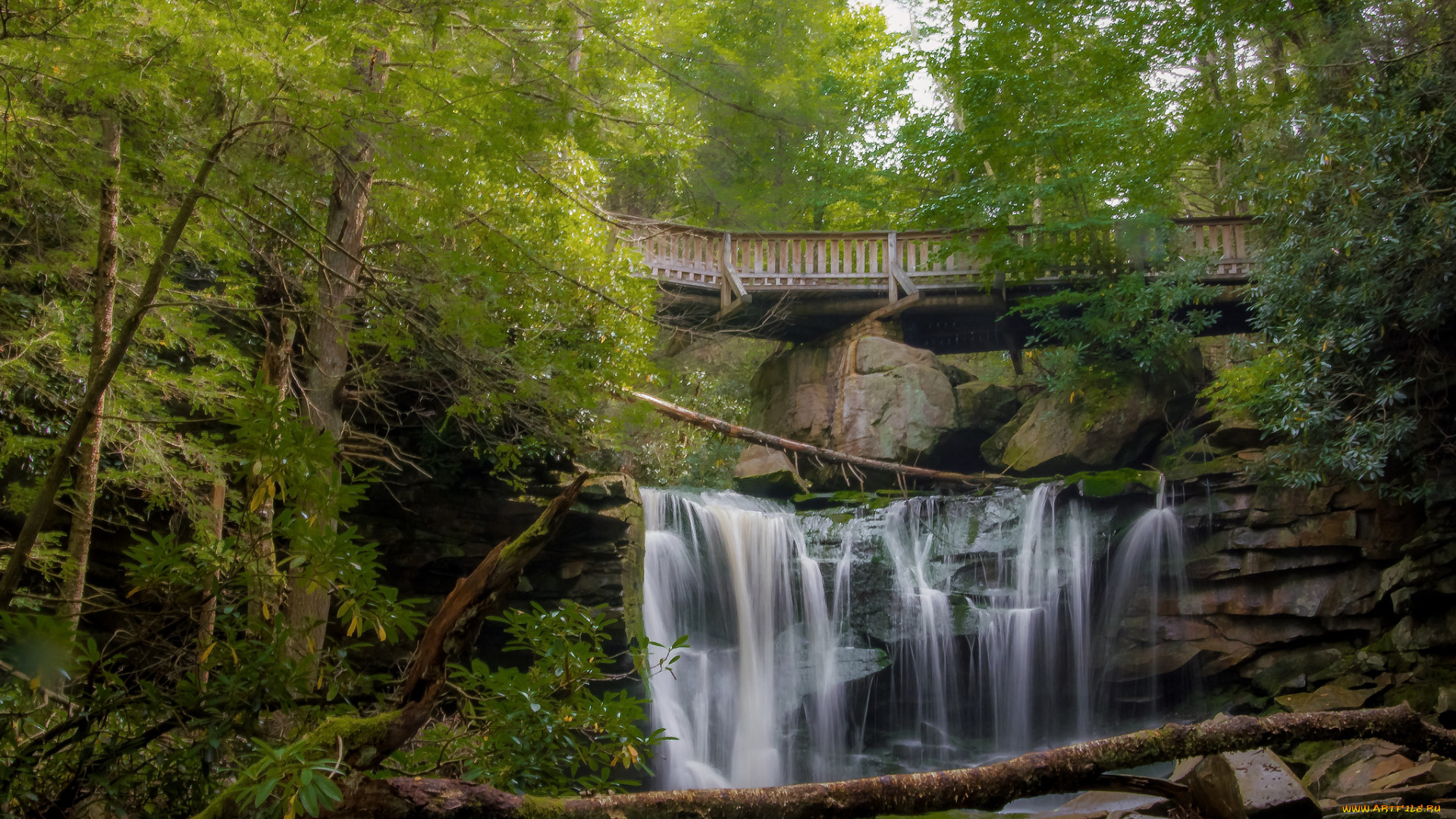природа, водопады, река, лес, водопад
