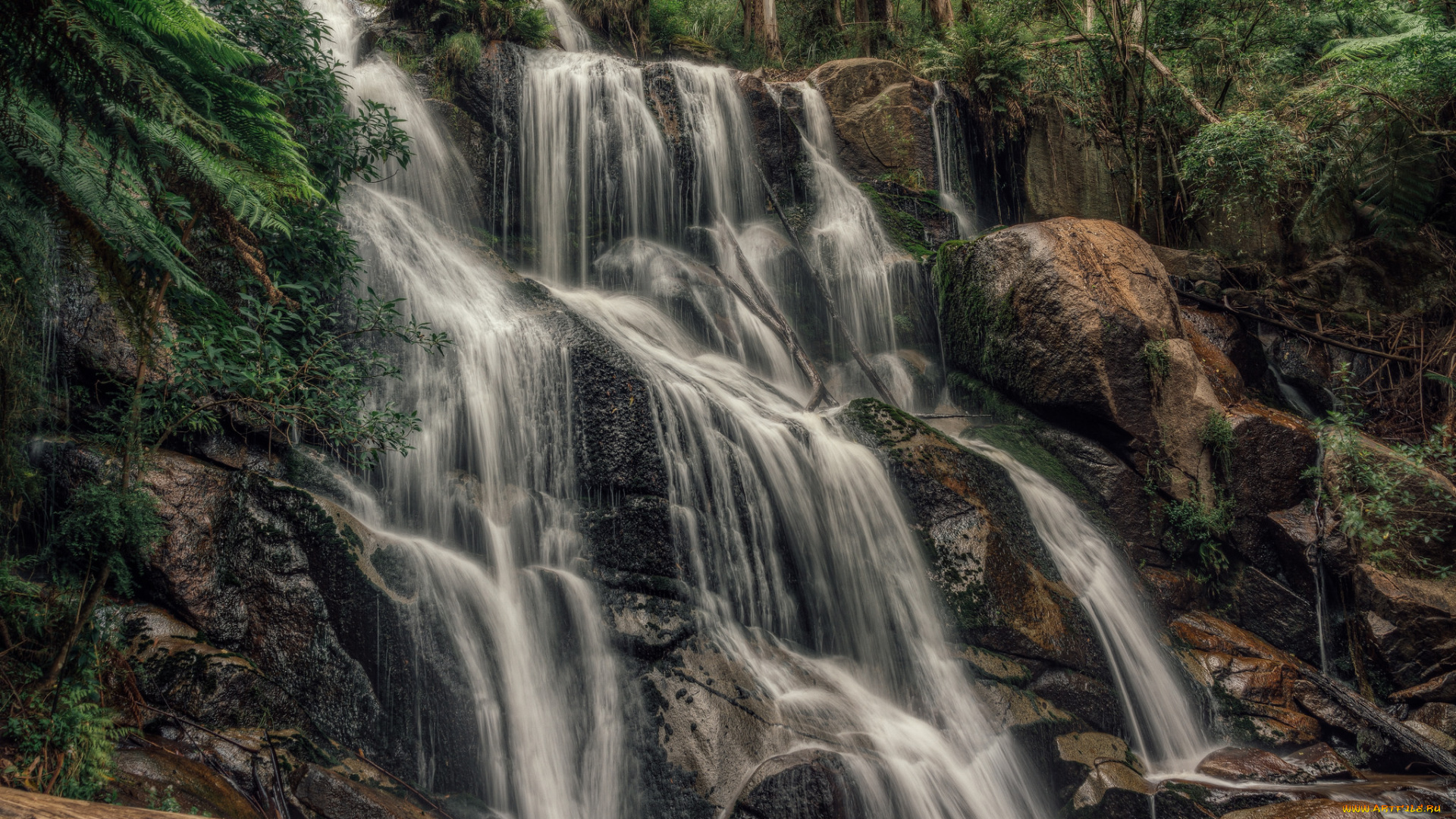 природа, водопады, река, водопад, лес