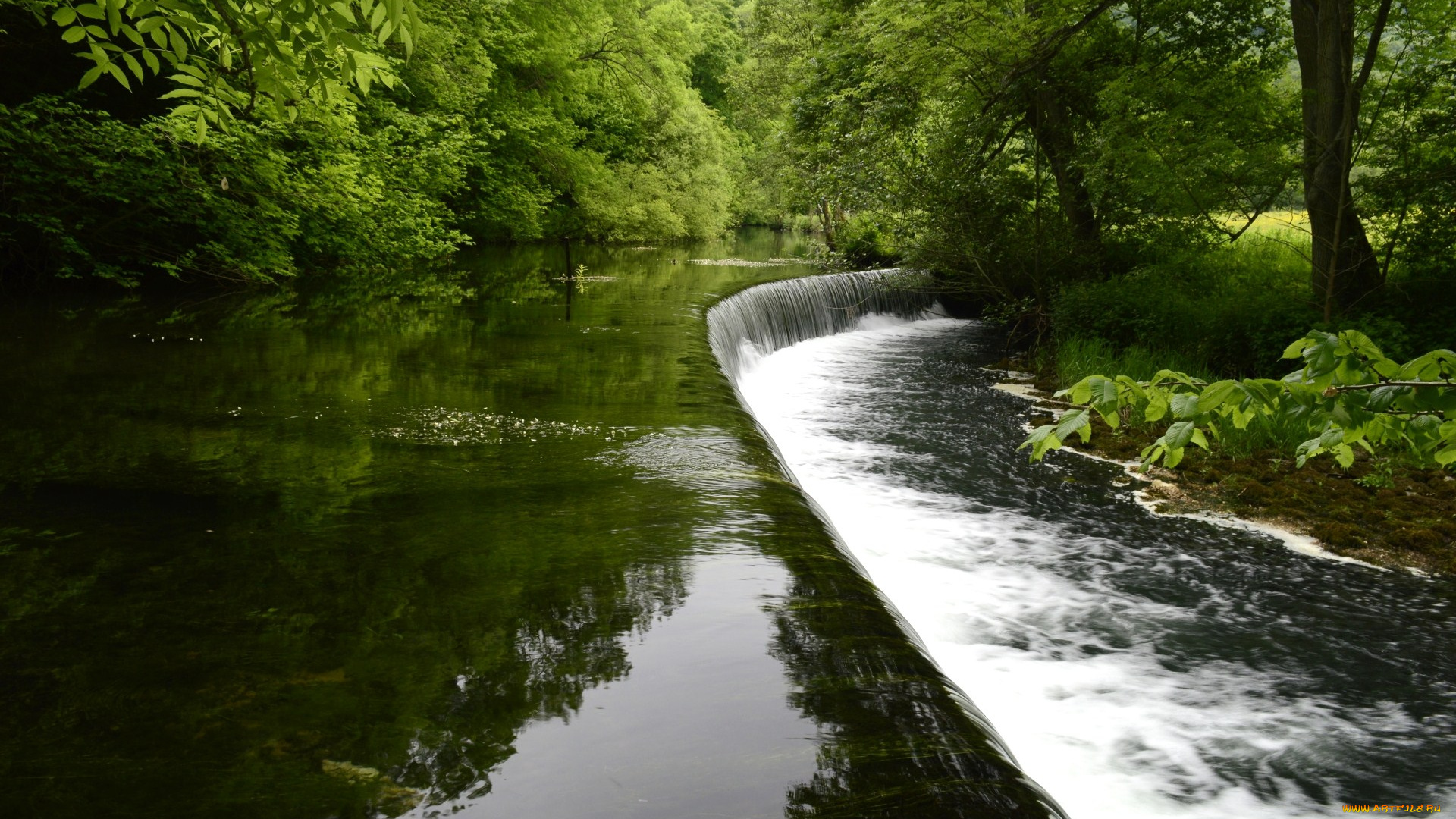 природа, водопады, река, водопад, ступень, вода, деревья