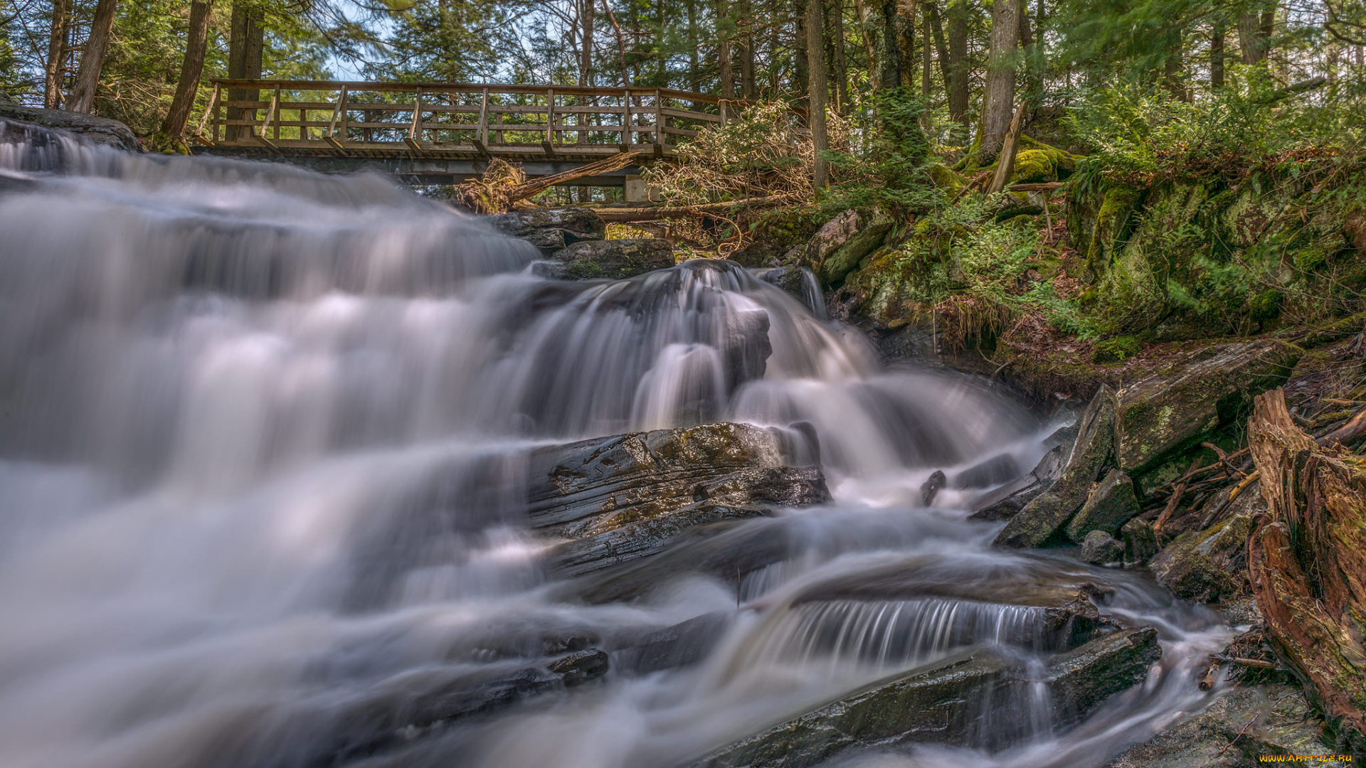 природа, водопады, водопад, лес, река
