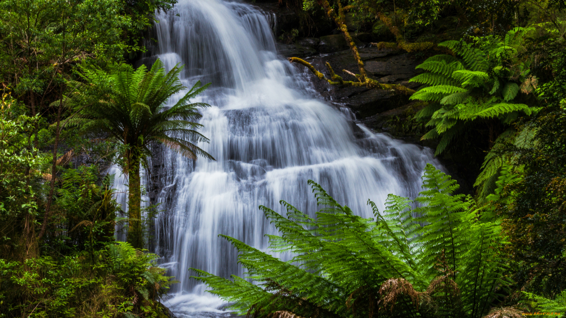 природа, водопады, водопад, поток, папоротник, вода, камни, зелень