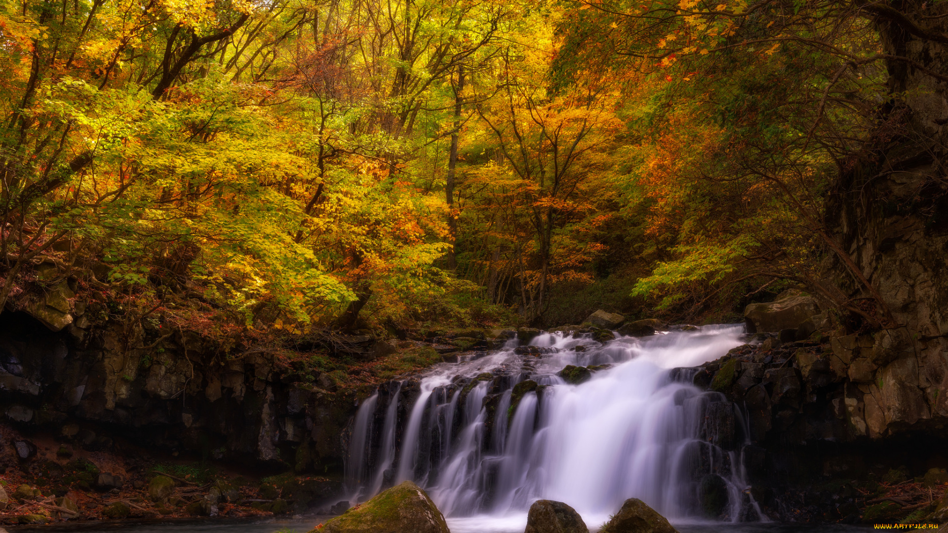 природа, водопады, водопад, река, лес