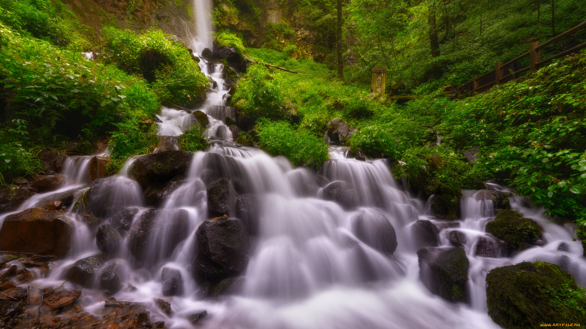 природа, водопады, водопад, река, лес