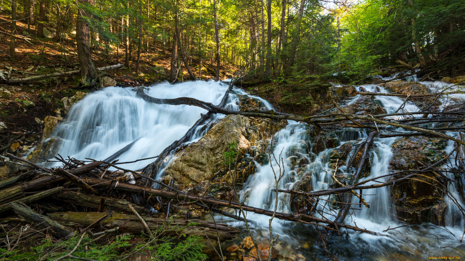 природа, водопады, водопад, река, лес