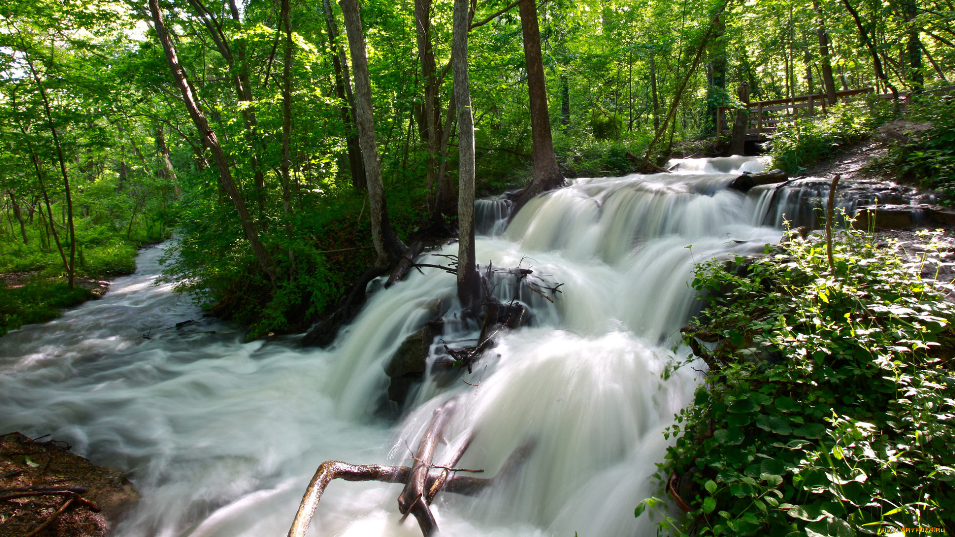 природа, водопады, водопад, река, лес