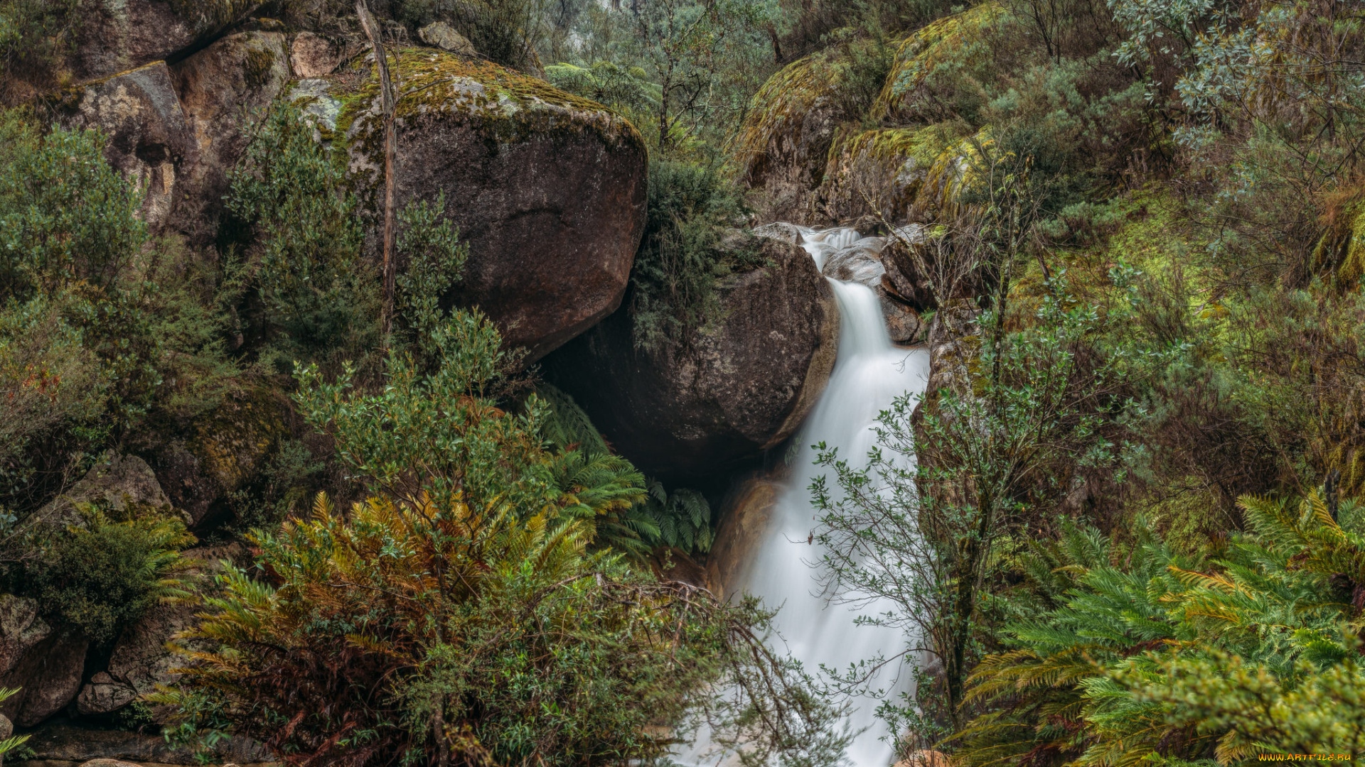 природа, водопады, водопад, река, лес