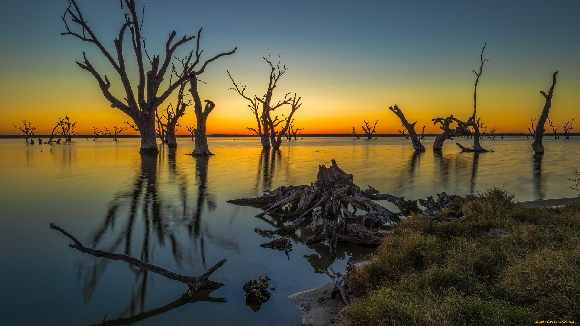 природа, восходы, закаты, деревья, зарево, река
