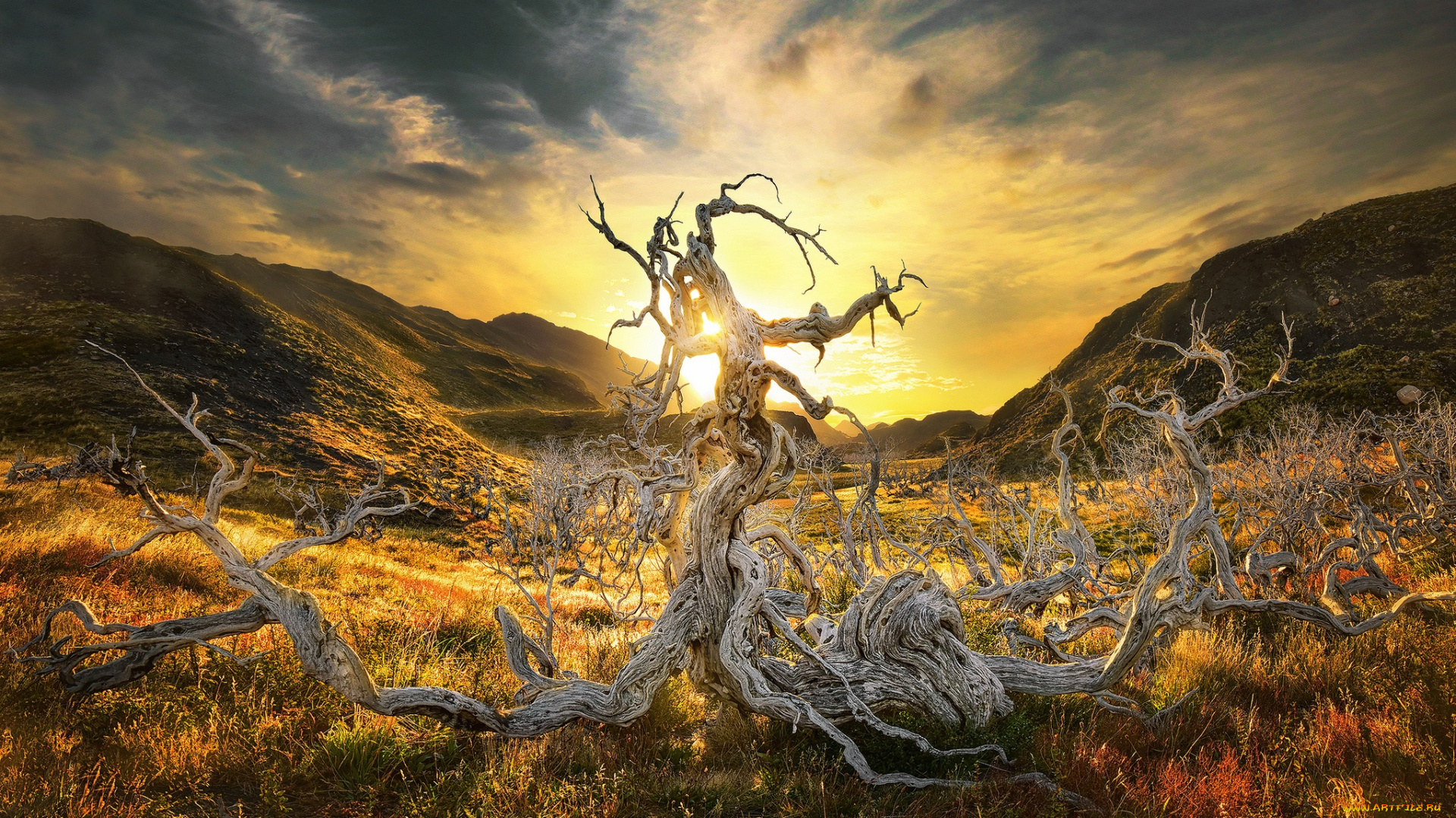 природа, восходы, закаты, коряга, рассвет, долина