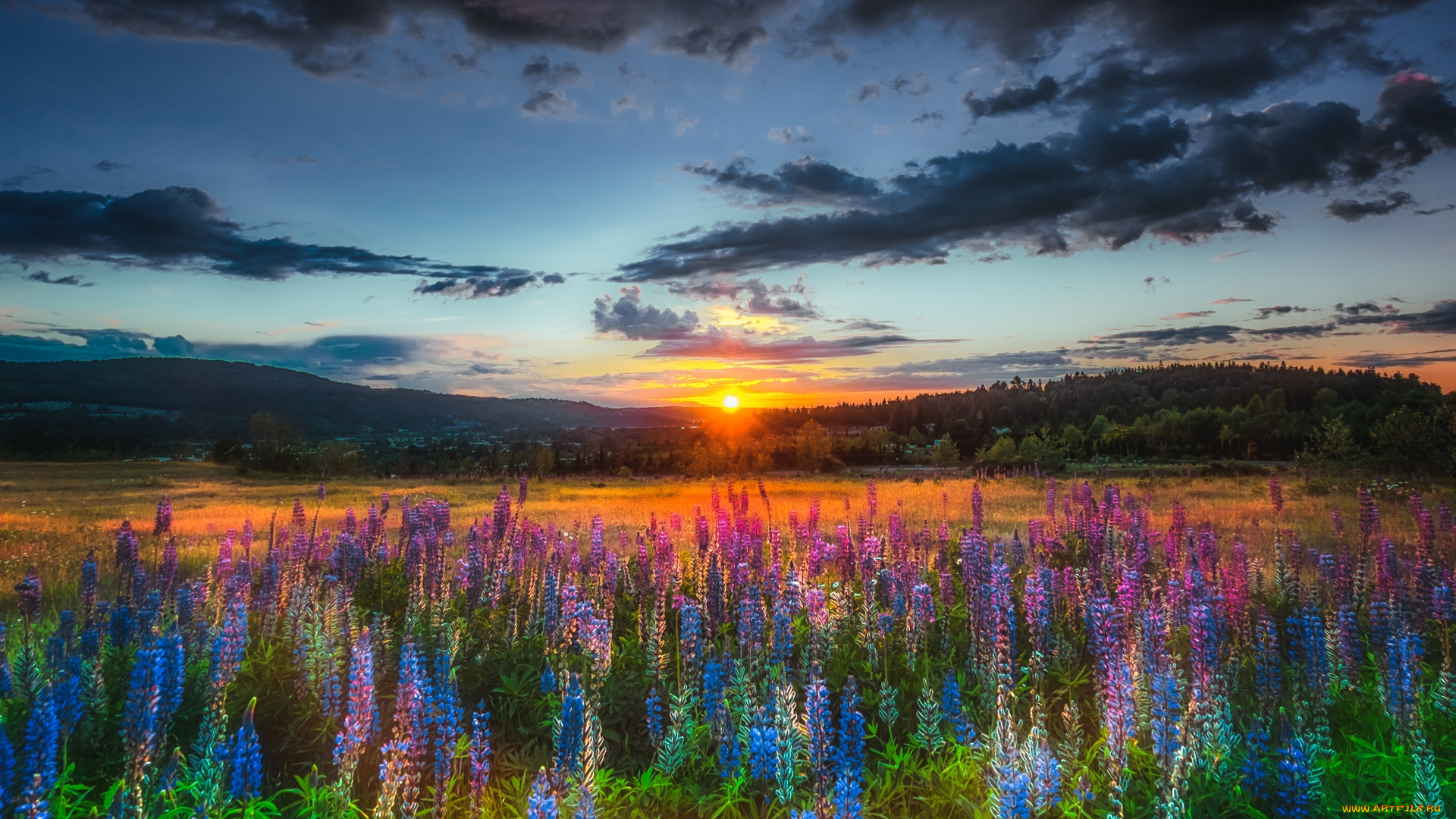 природа, восходы, закаты, рассвет