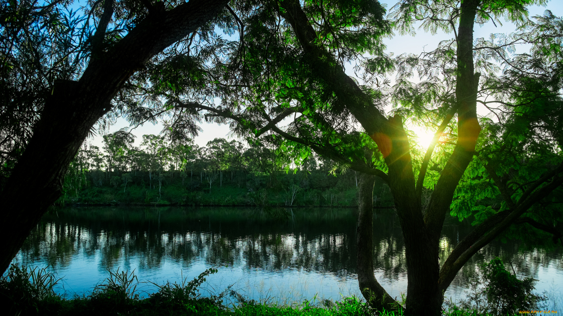 природа, восходы, закаты, река, солнце, трава, утро, дерево