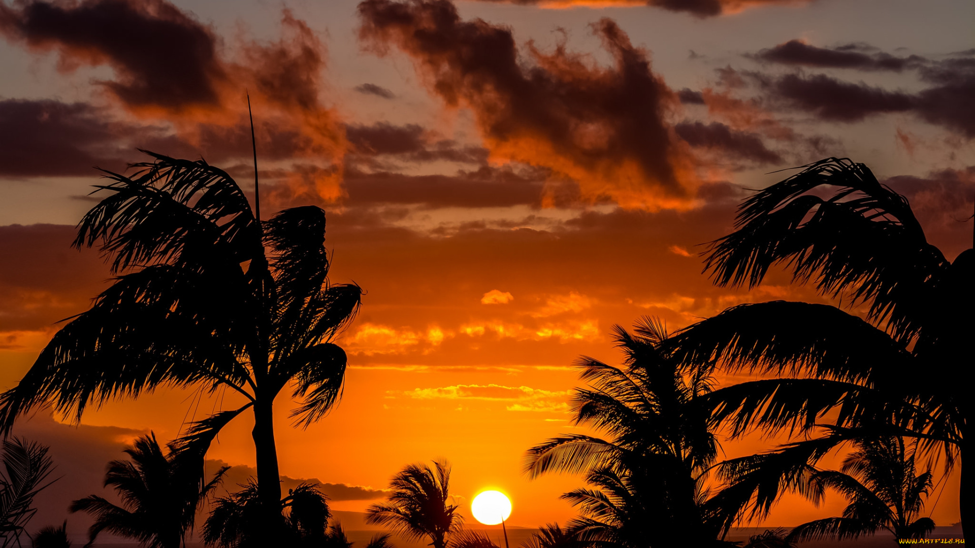 природа, восходы, закаты, сумерки