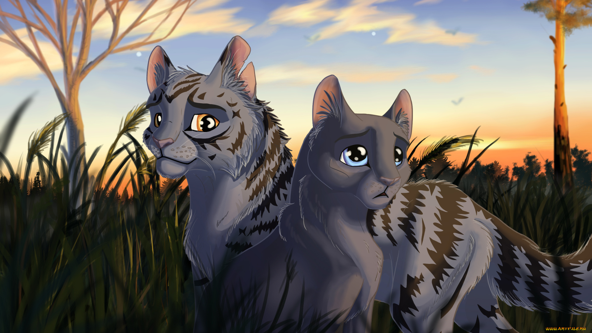 рисованное, животные, , коты, коты, взгляд, фон