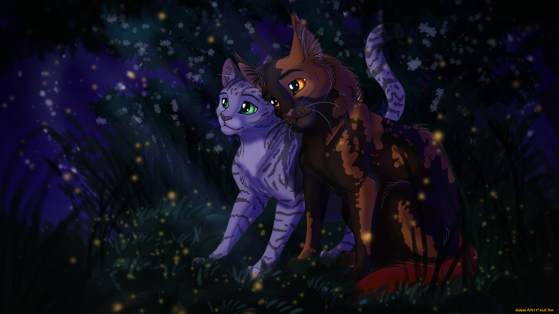 рисованное, животные, , коты, коты, взгляд, фон, ночь