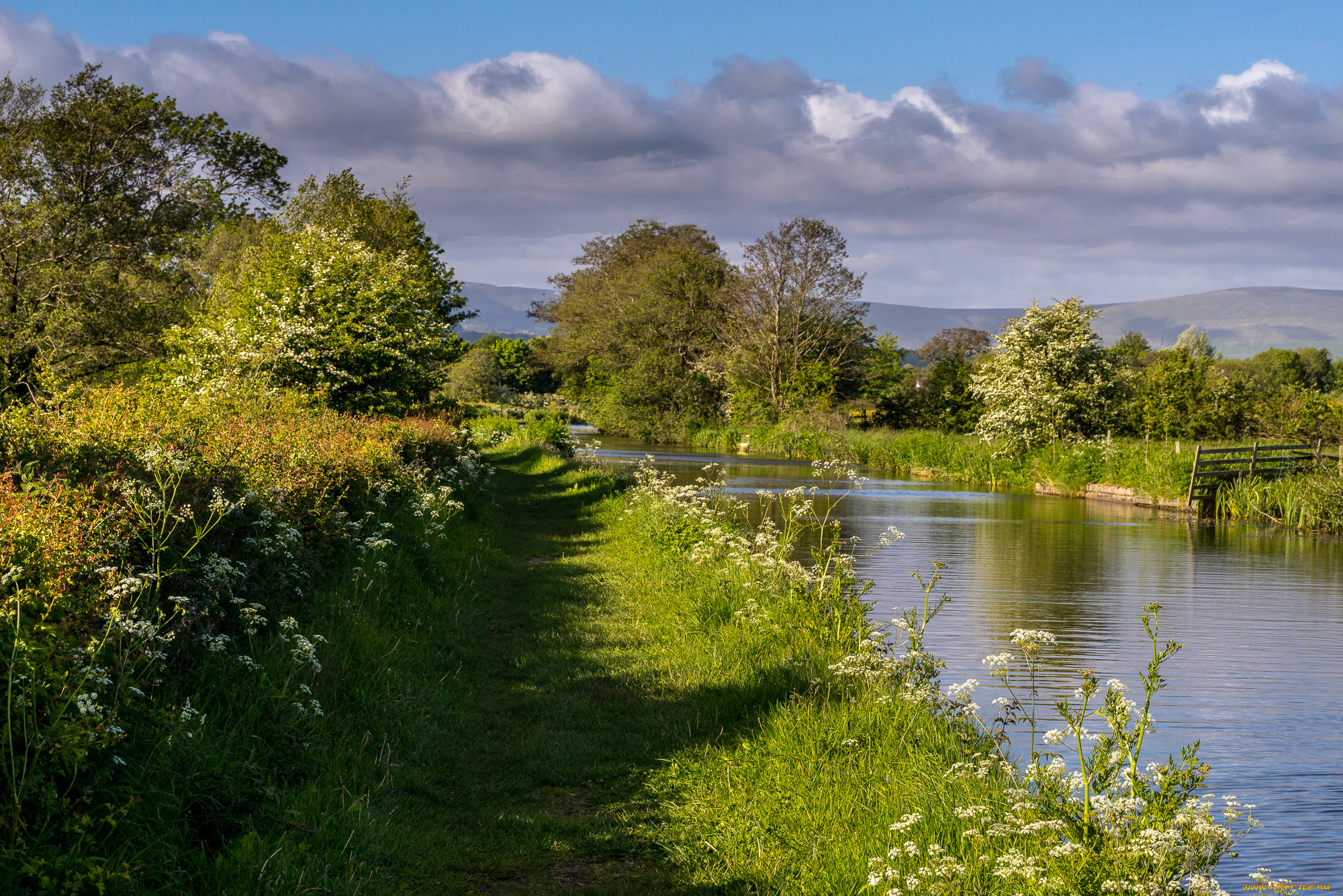 природа, реки, озера, лес, река