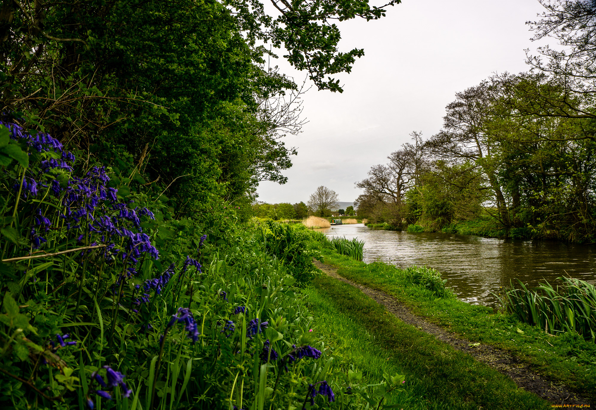 природа, дороги, тропинка, река, лес
