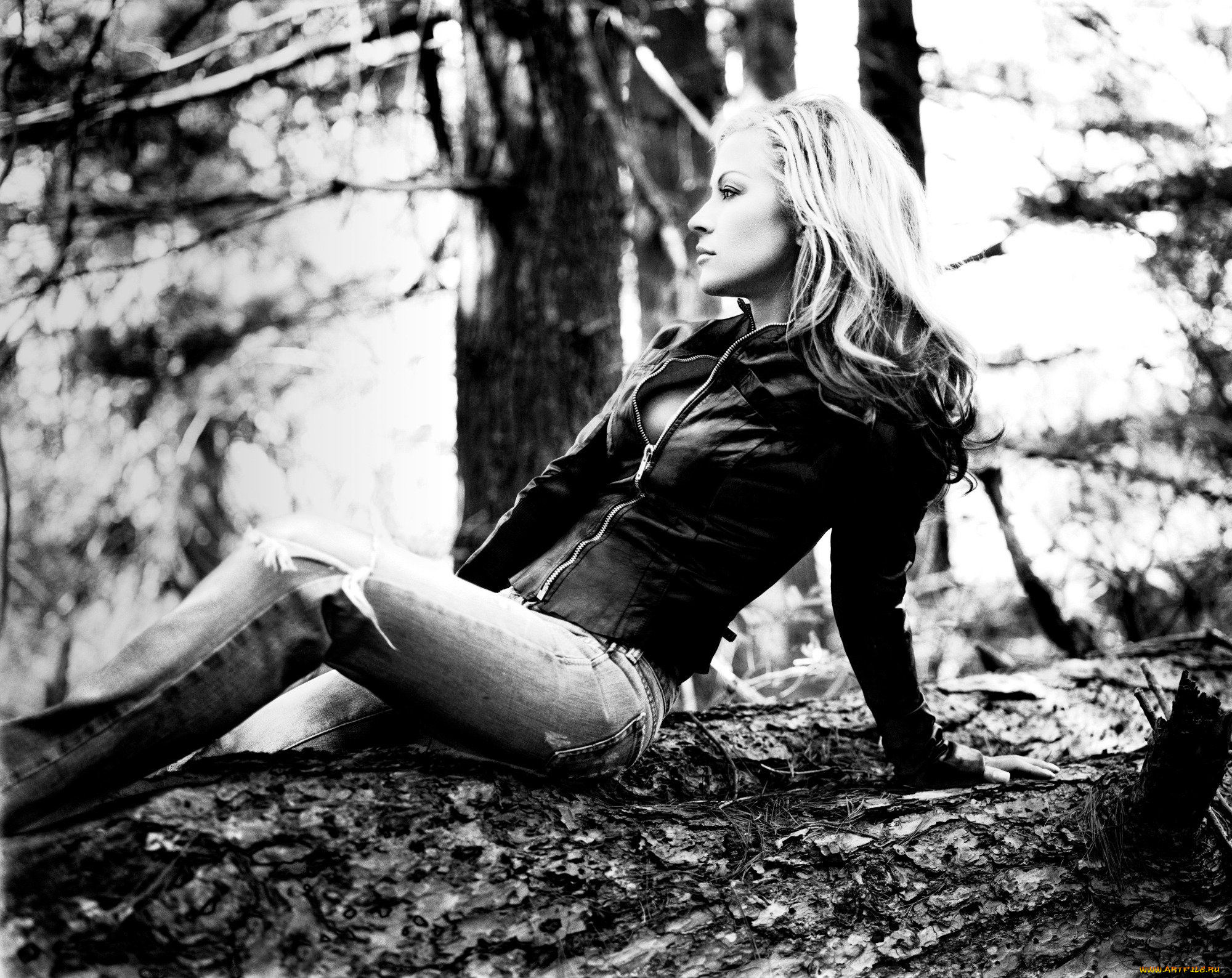 музыка, anastacia, куртка, профиль, бревно, черно-белая, певица, анастейша, джинсы, деревья
