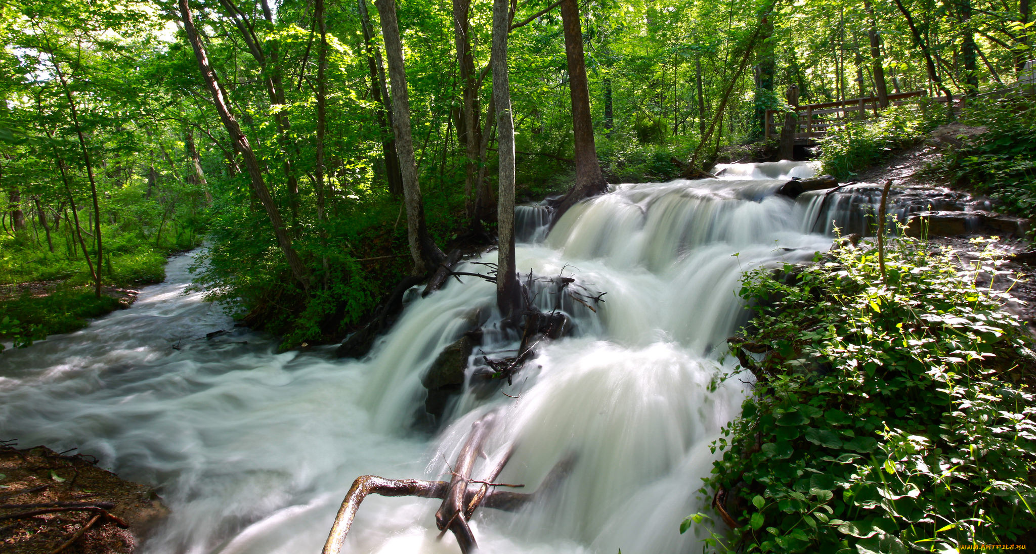 природа, водопады, водопад, река, лес
