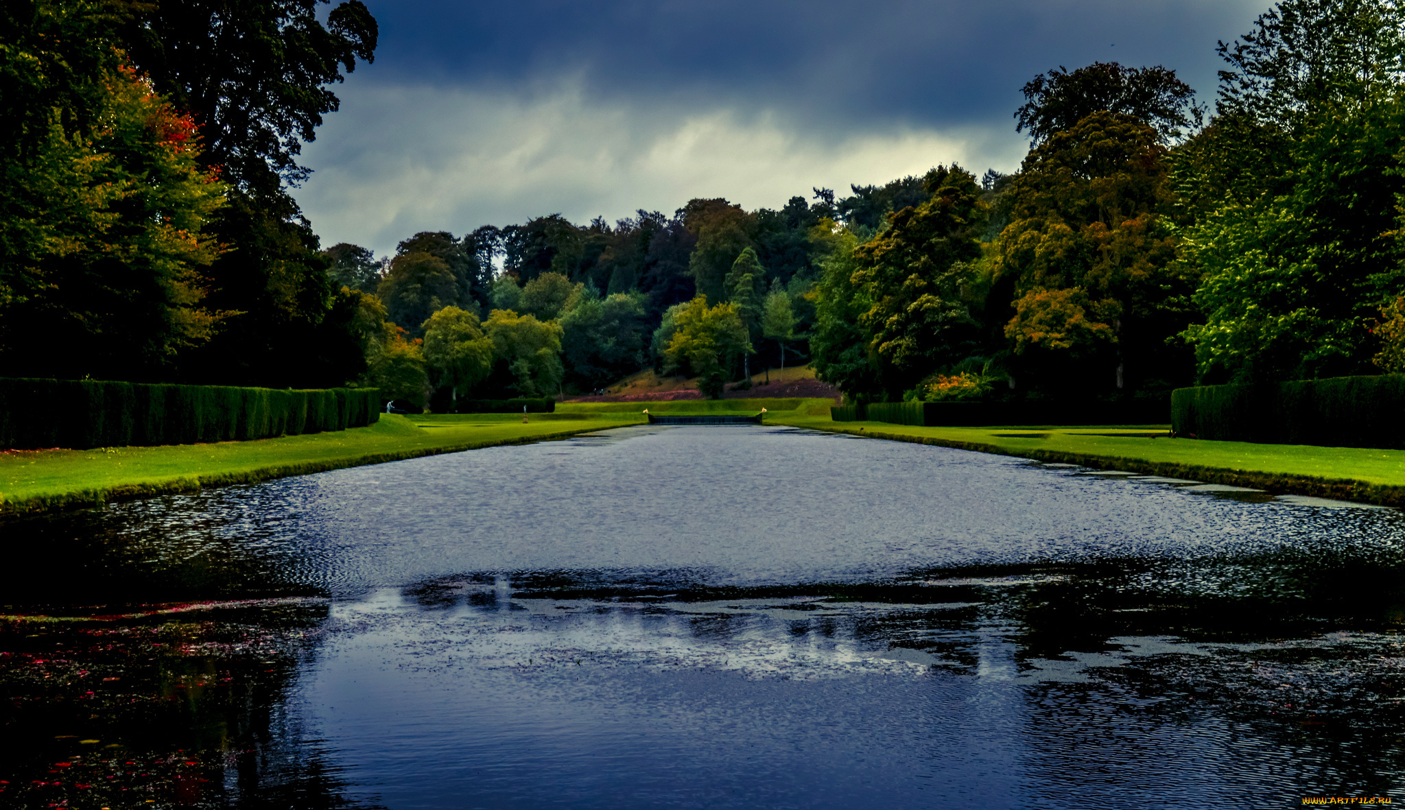 природа, парк, озеро, деревья