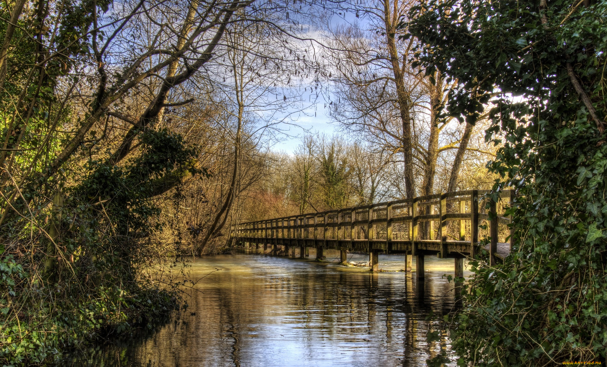 природа, реки, озера, мостик, река, лес