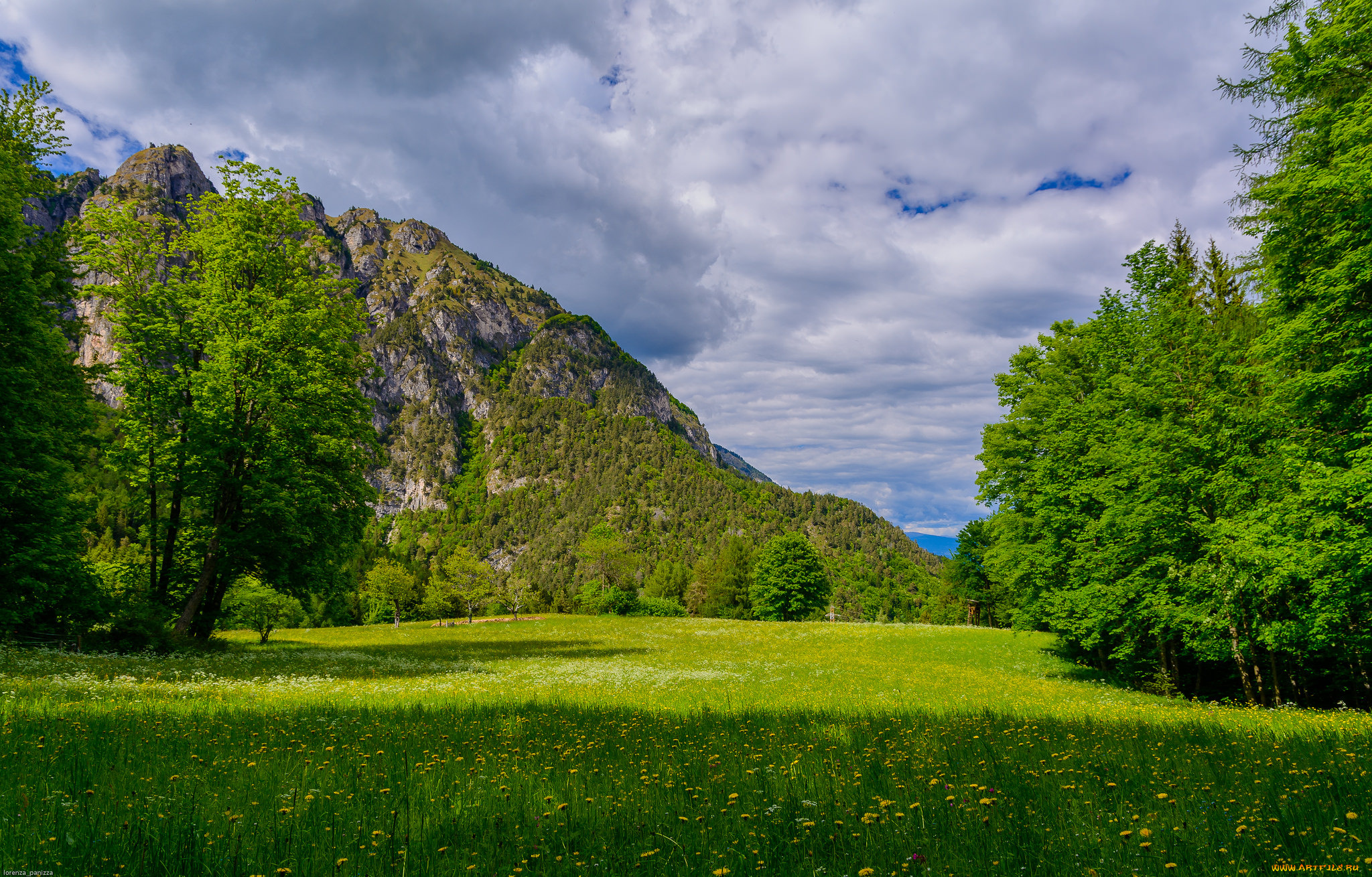 природа, луга, трава, лес, горы