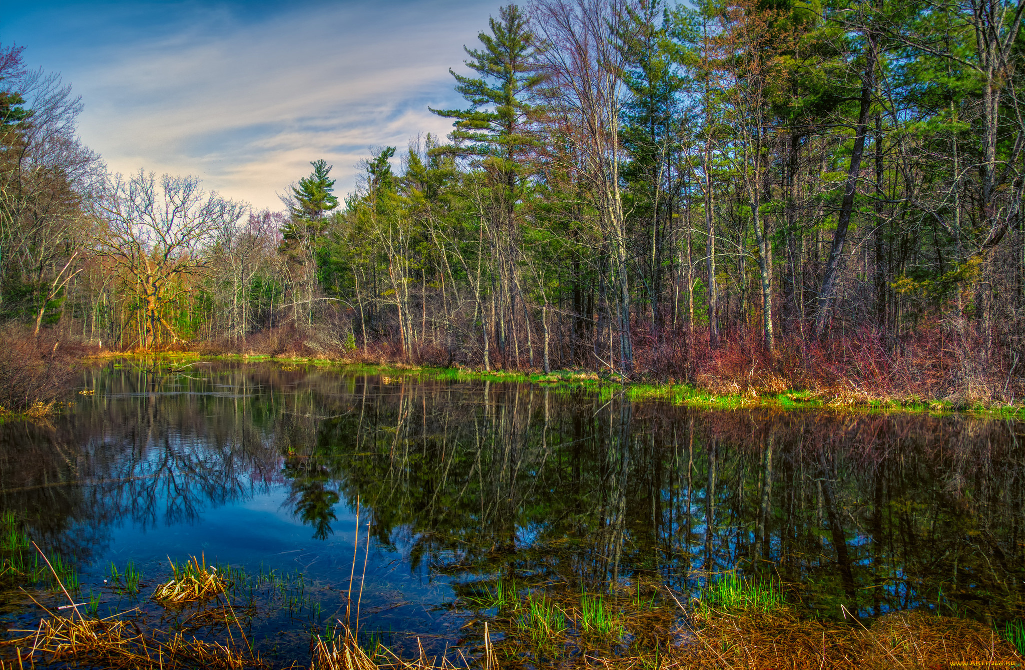 природа, реки, озера, река, лес