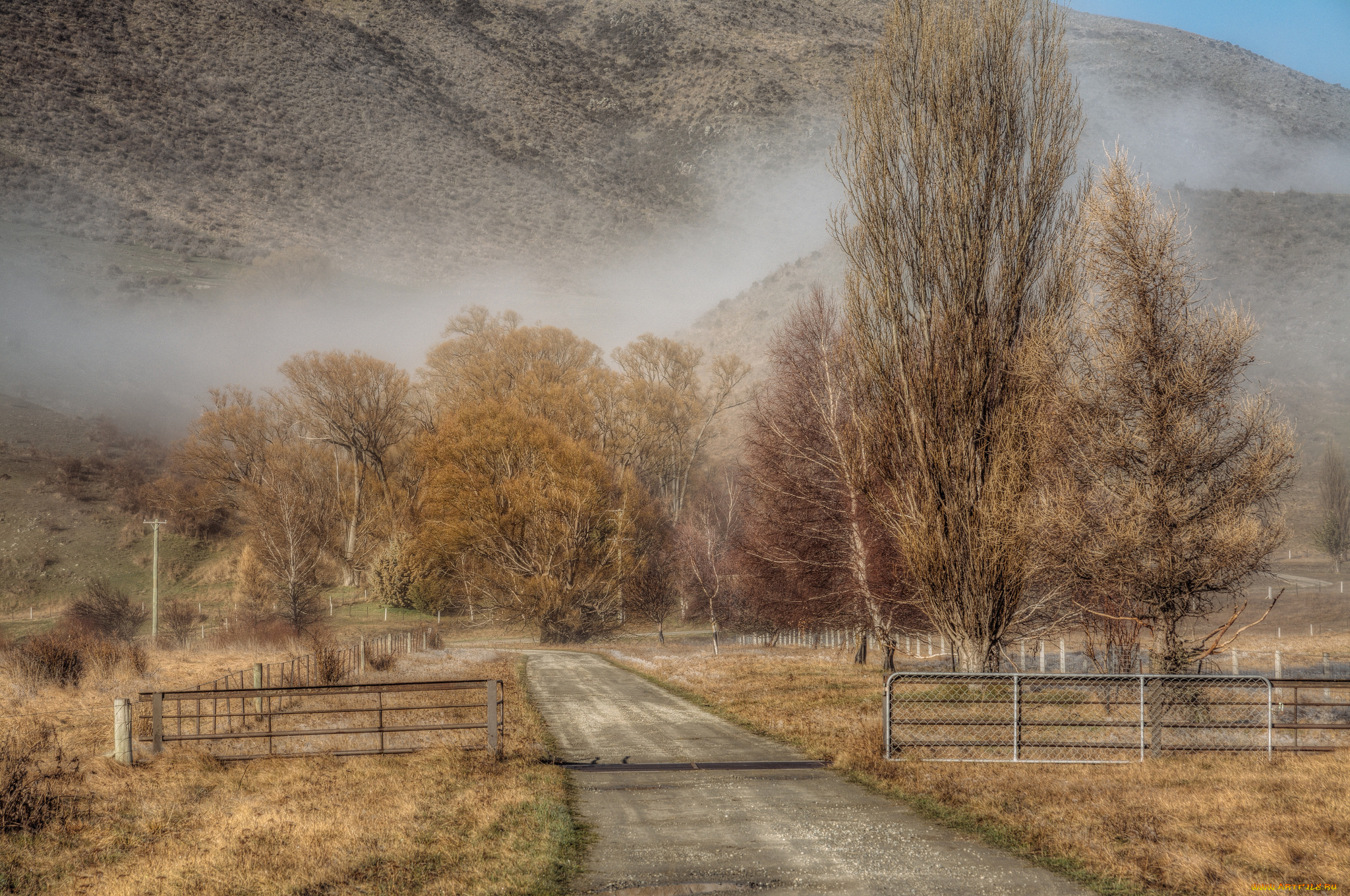 природа, дороги, тракт, лес