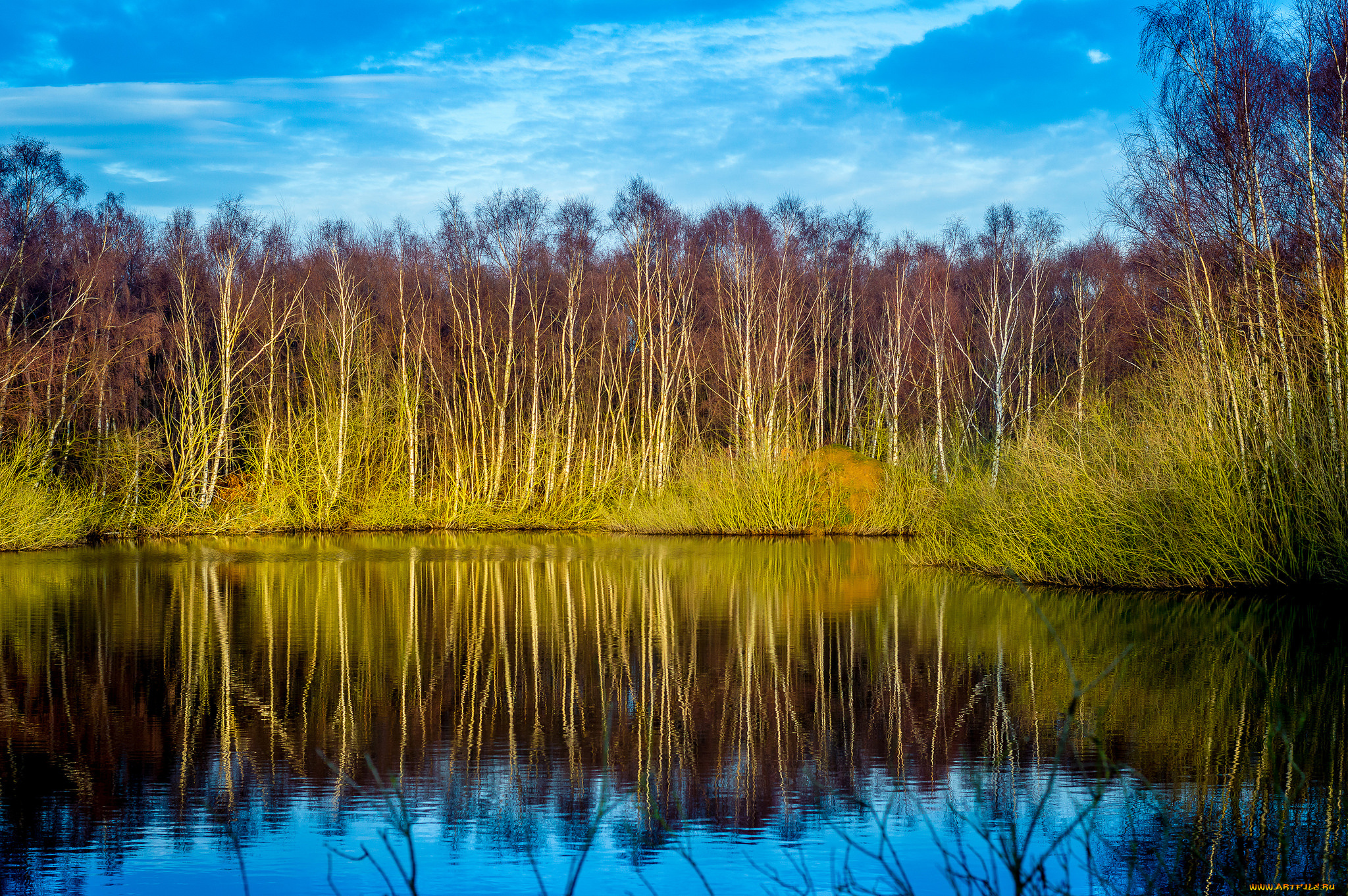 природа, реки, озера, камыш, небо, река, отражение