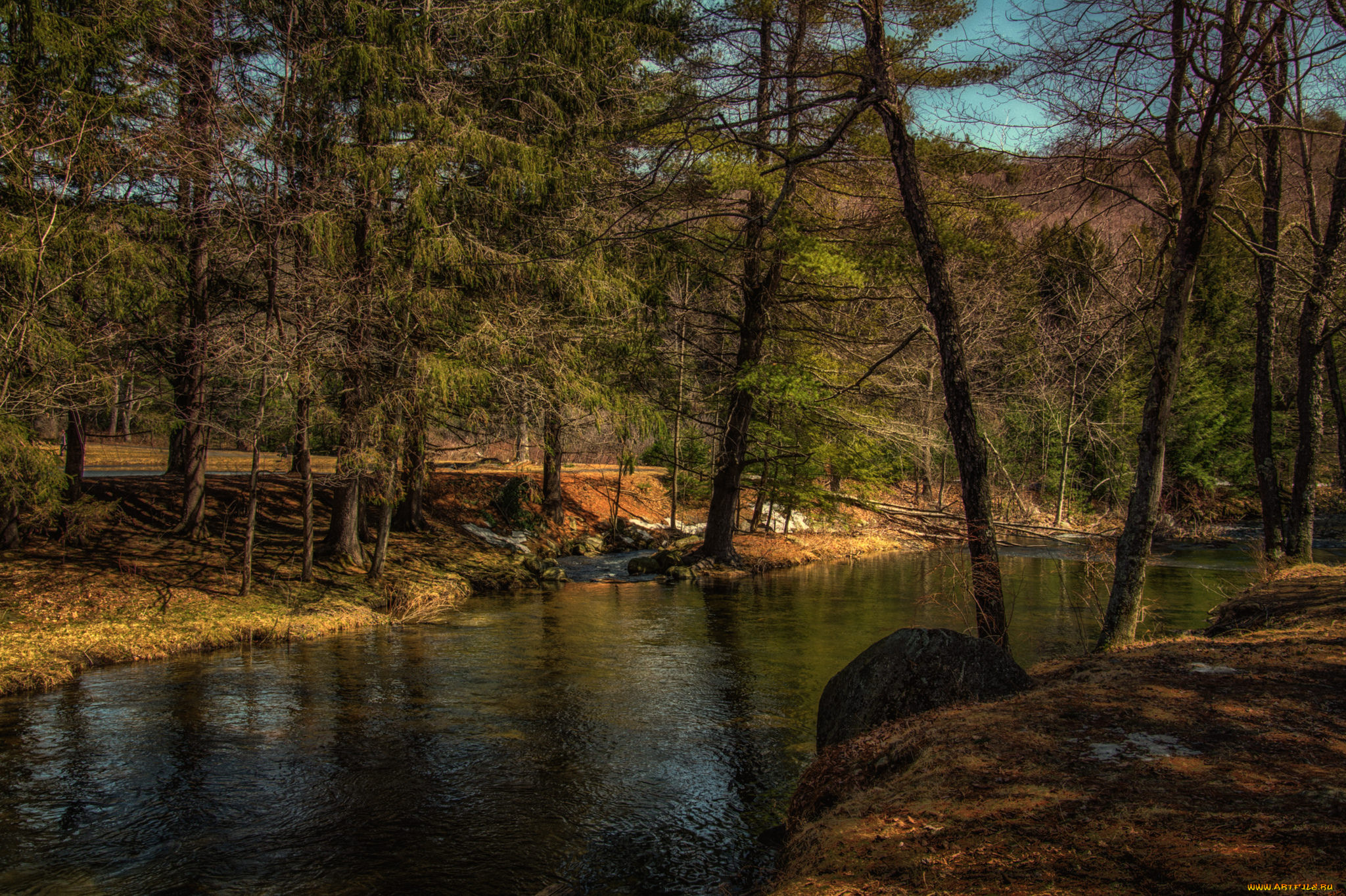 природа, реки, озера, река, лес