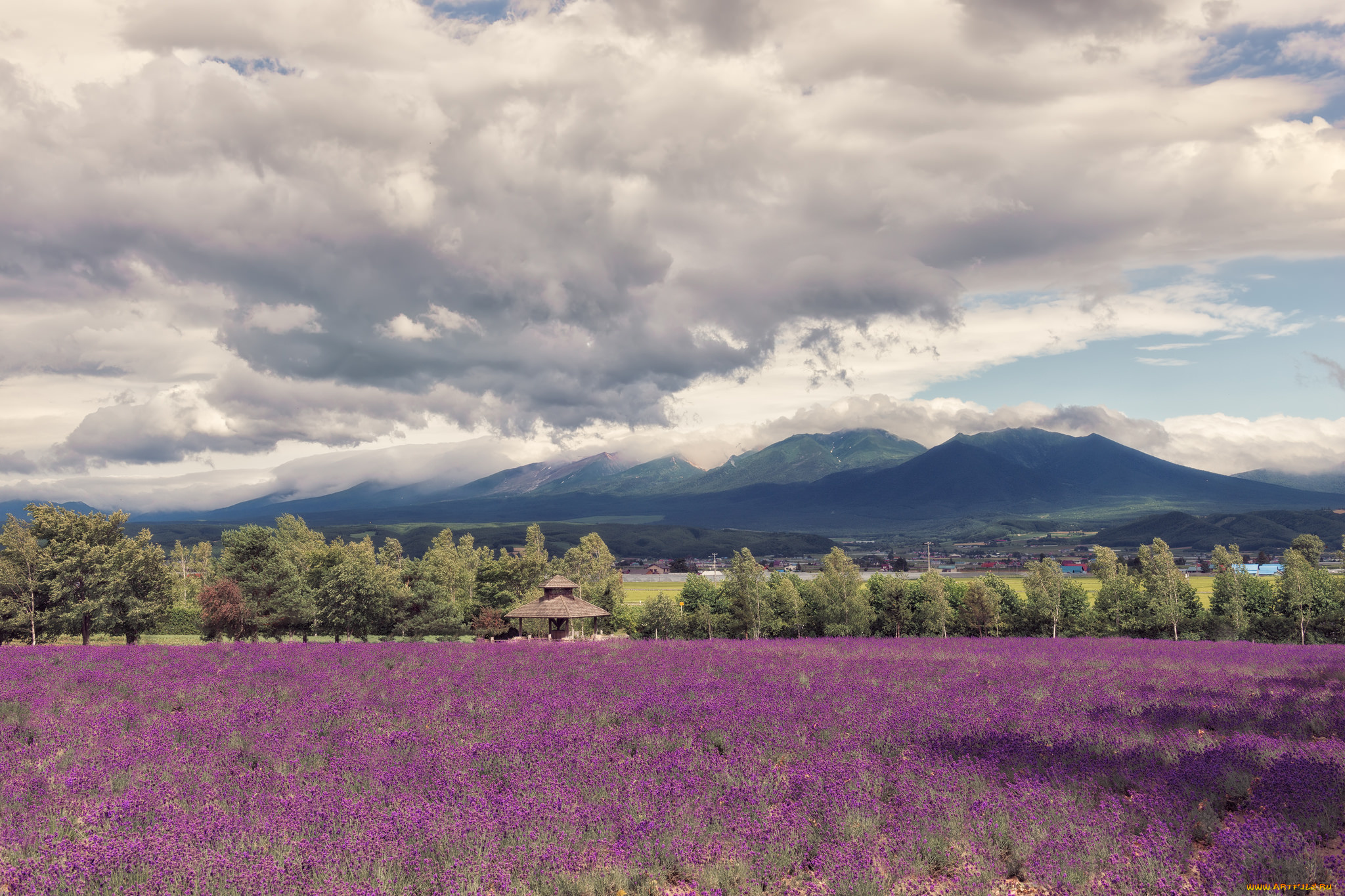 природа, луга, горы, облака, небо, луг