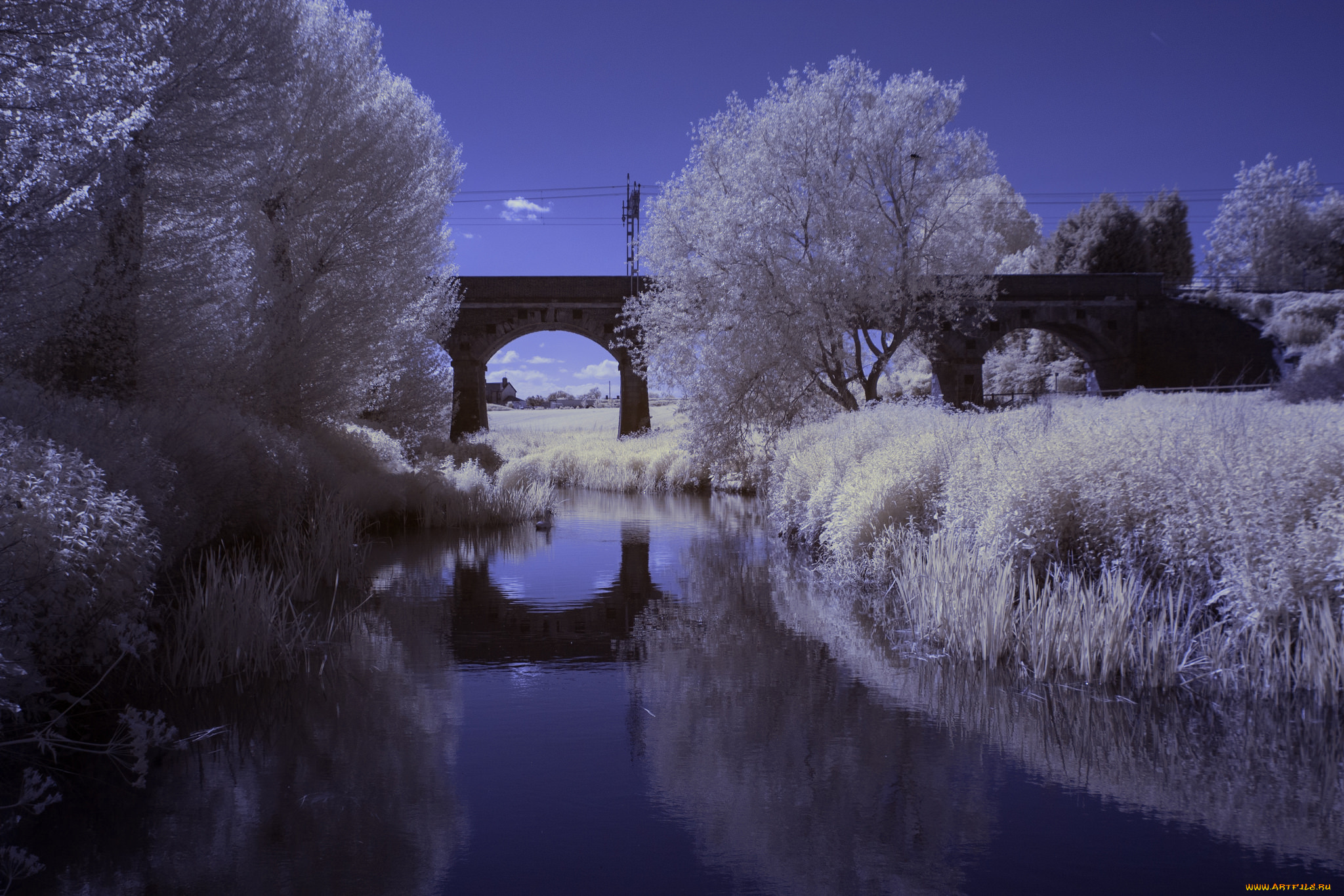 природа, реки, озера, деревья, мост, река, зима, отражение