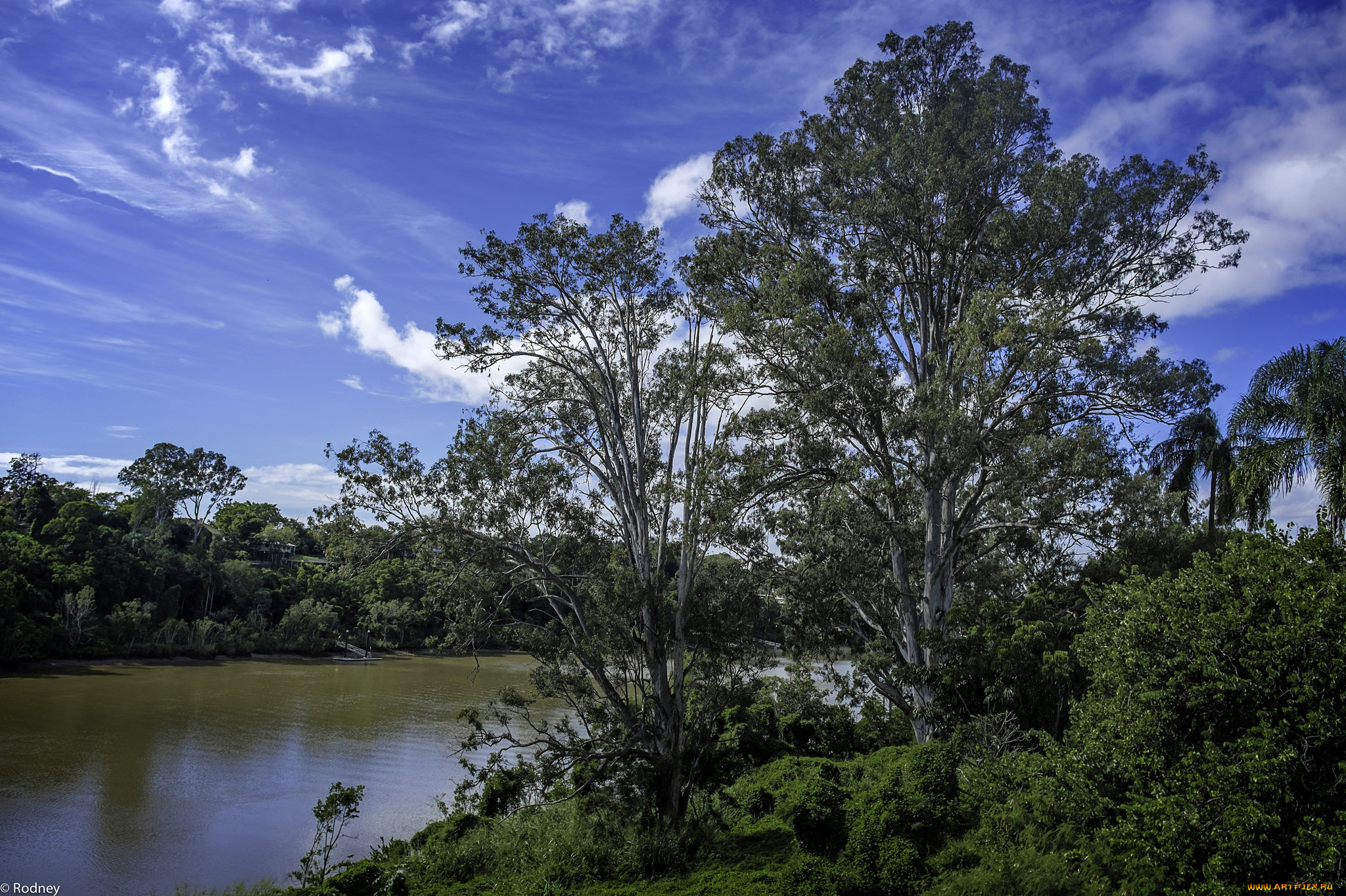 природа, реки, озера, деревья, река, небо
